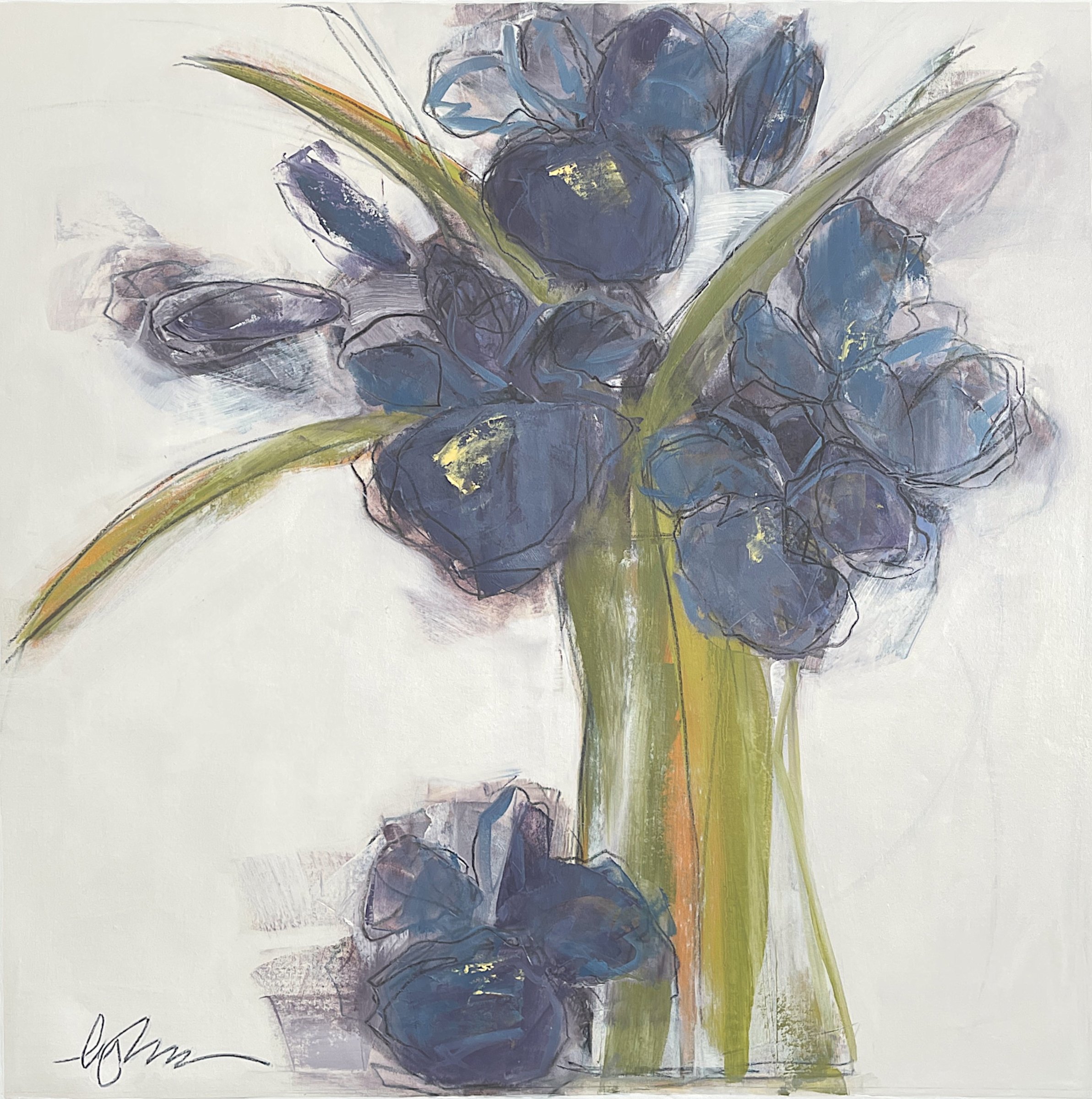 iris germanica 40 x 40 oil/waxed pastel on canvas | The Art Agency Surrey UK