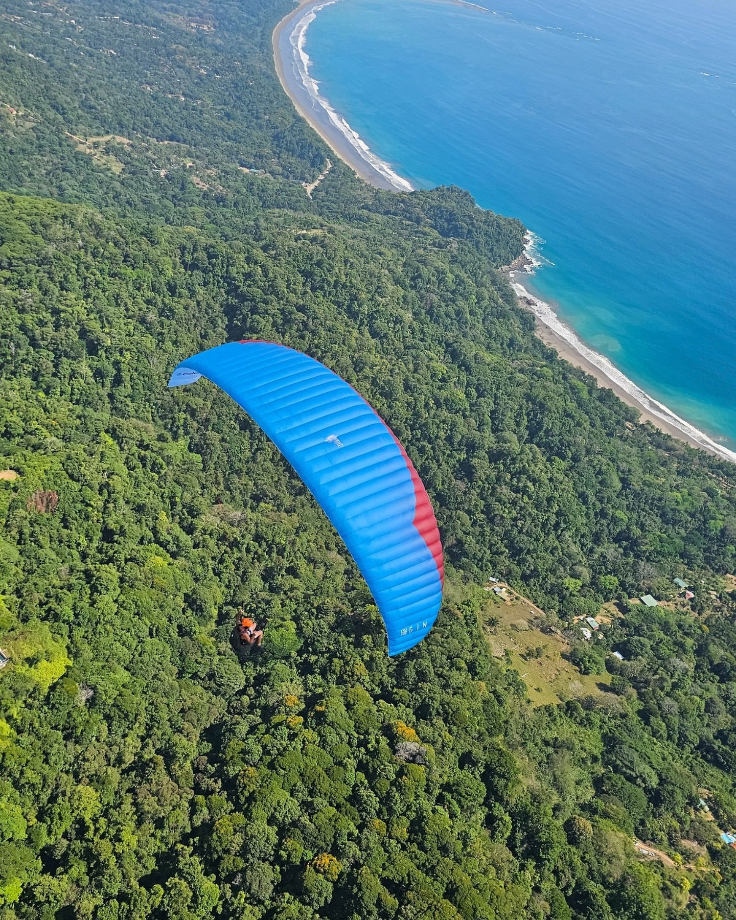 Our Costa Rica tours are on early bird discount until the end of the month. Don&rsquo;t miss out on booking your space to join us in the new year with our lowest prices for the season. Our programme for 2025 is shaping up to be really fun. Here&rsquo