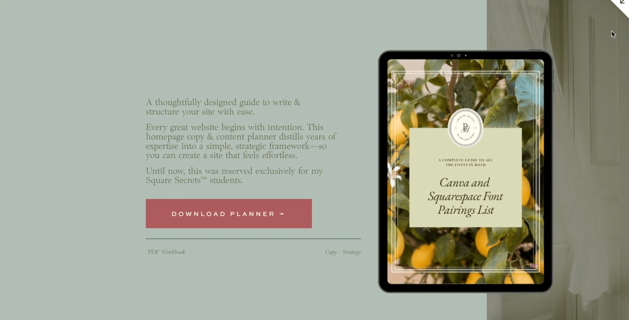 Inspiration for a freebie section of website page featuring light blue background and lemon tree imag