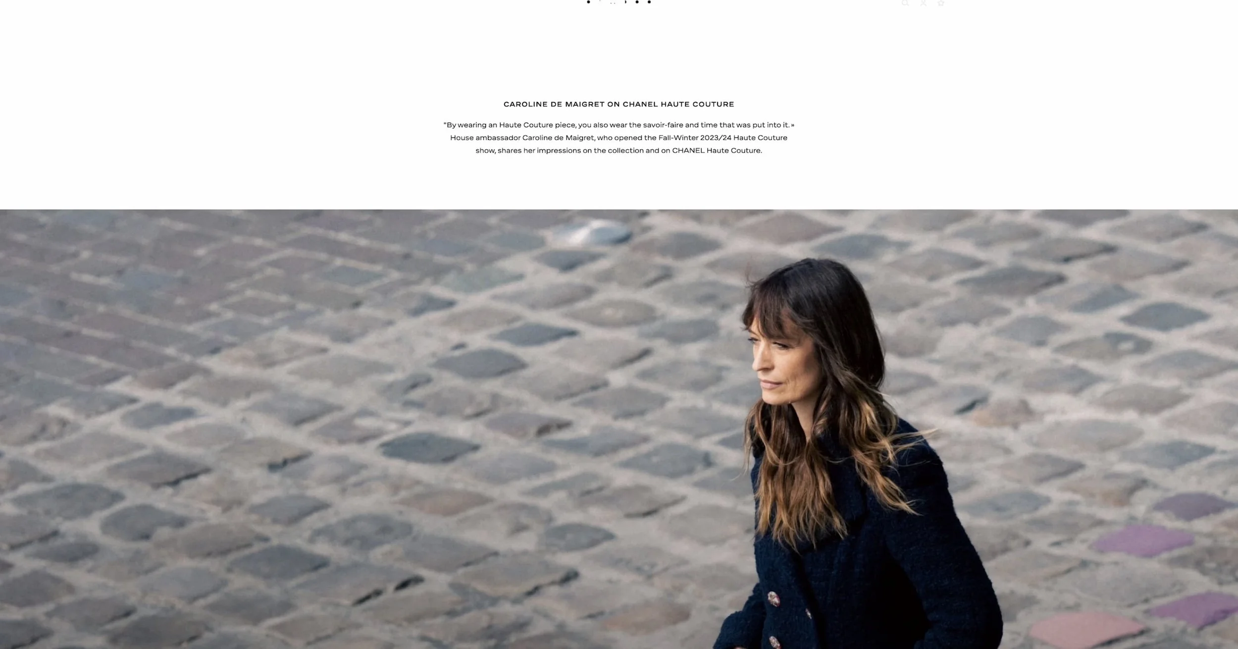 Chanel website example 3