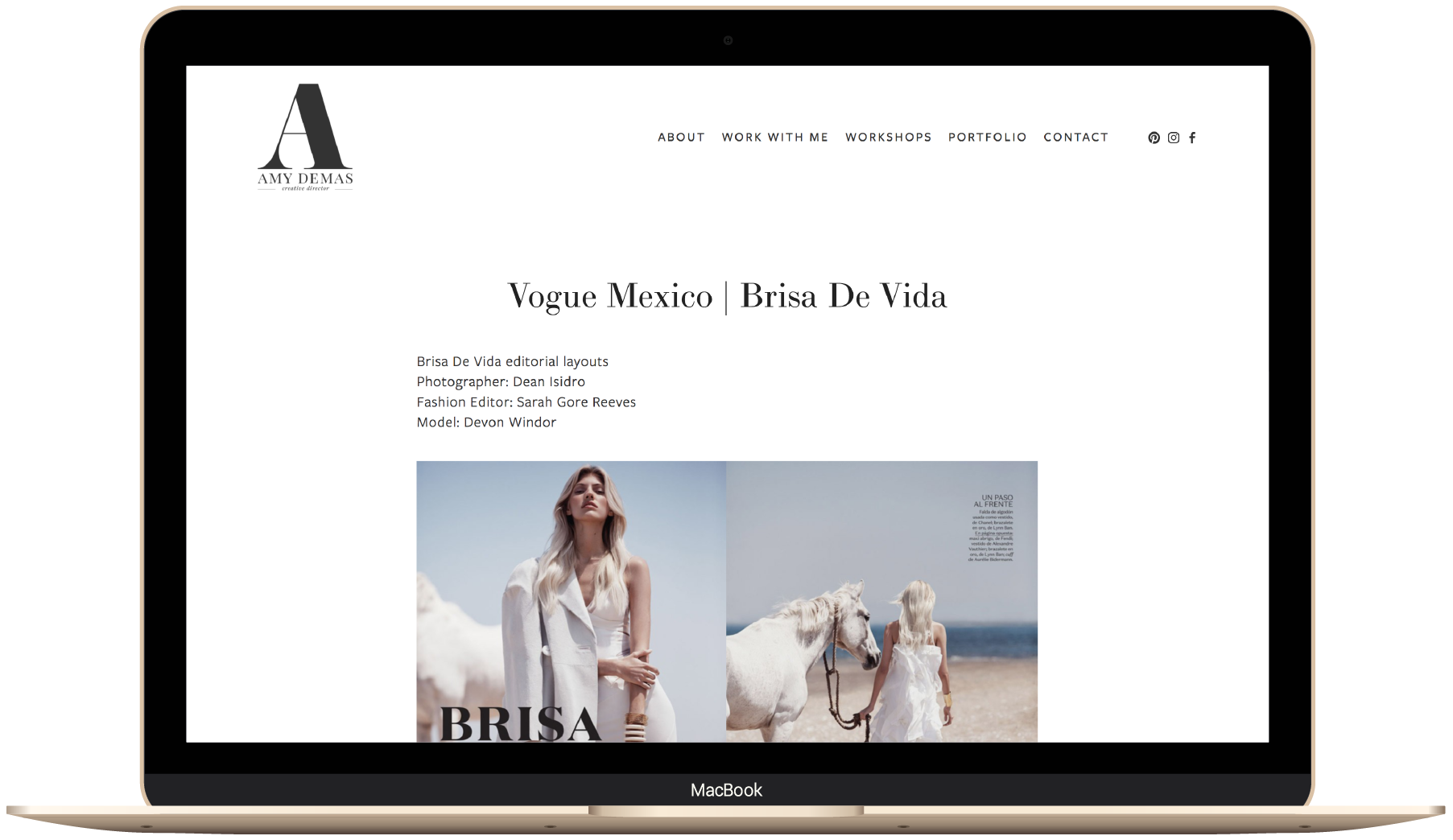 Squarespace website portfolio design on the Brine template.png
