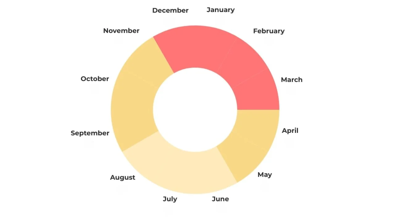 Paige Brunton Venn Diagram Web Designer Work Season