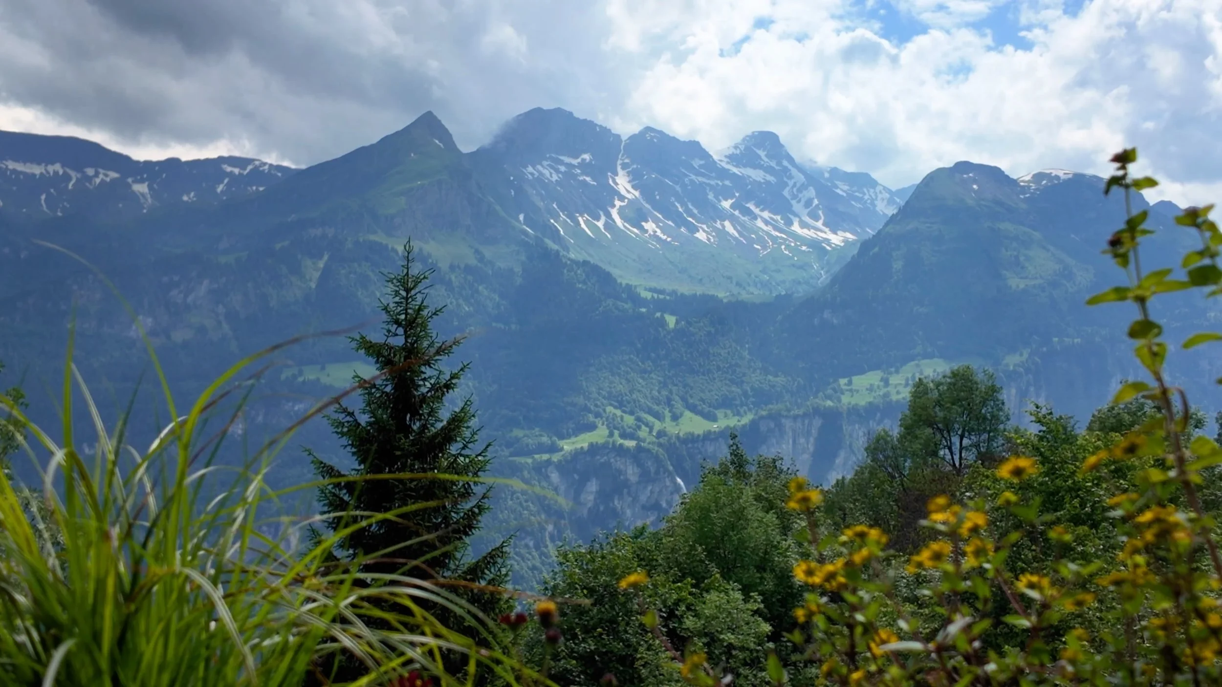 Gstaadt Mountain View