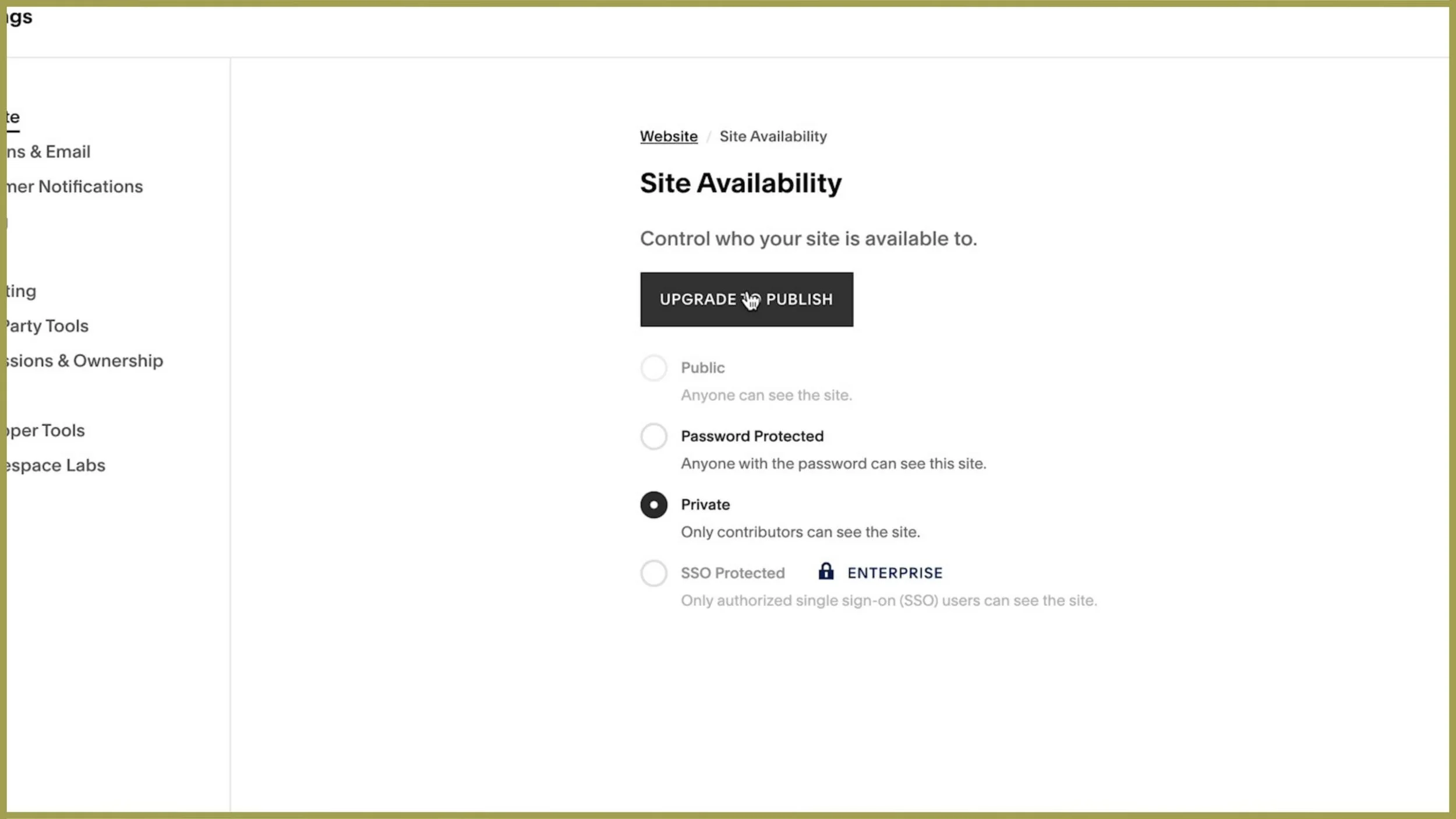 how to make your site public on squarespace