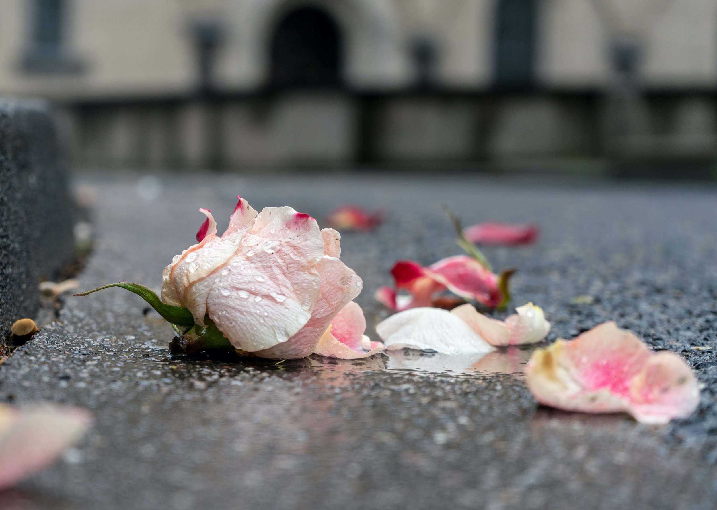 ian-taylor-mwUk4oNxkkA-unsplash.jpeg