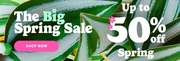 EML26_US_Q1_MARCH_WK1_BigSpringSale_CMB.jpg
