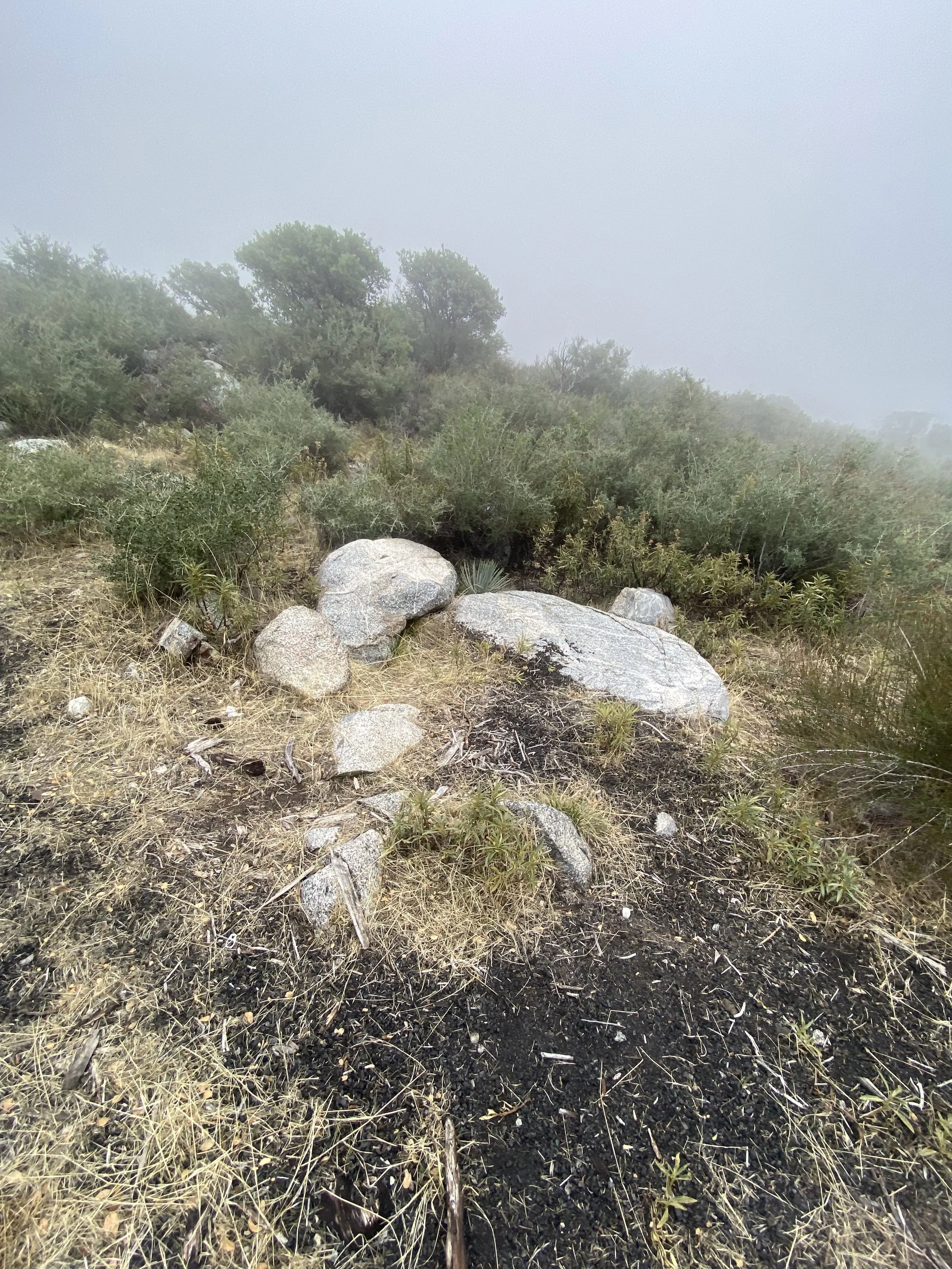 Copy of IMG_6219.jpeg