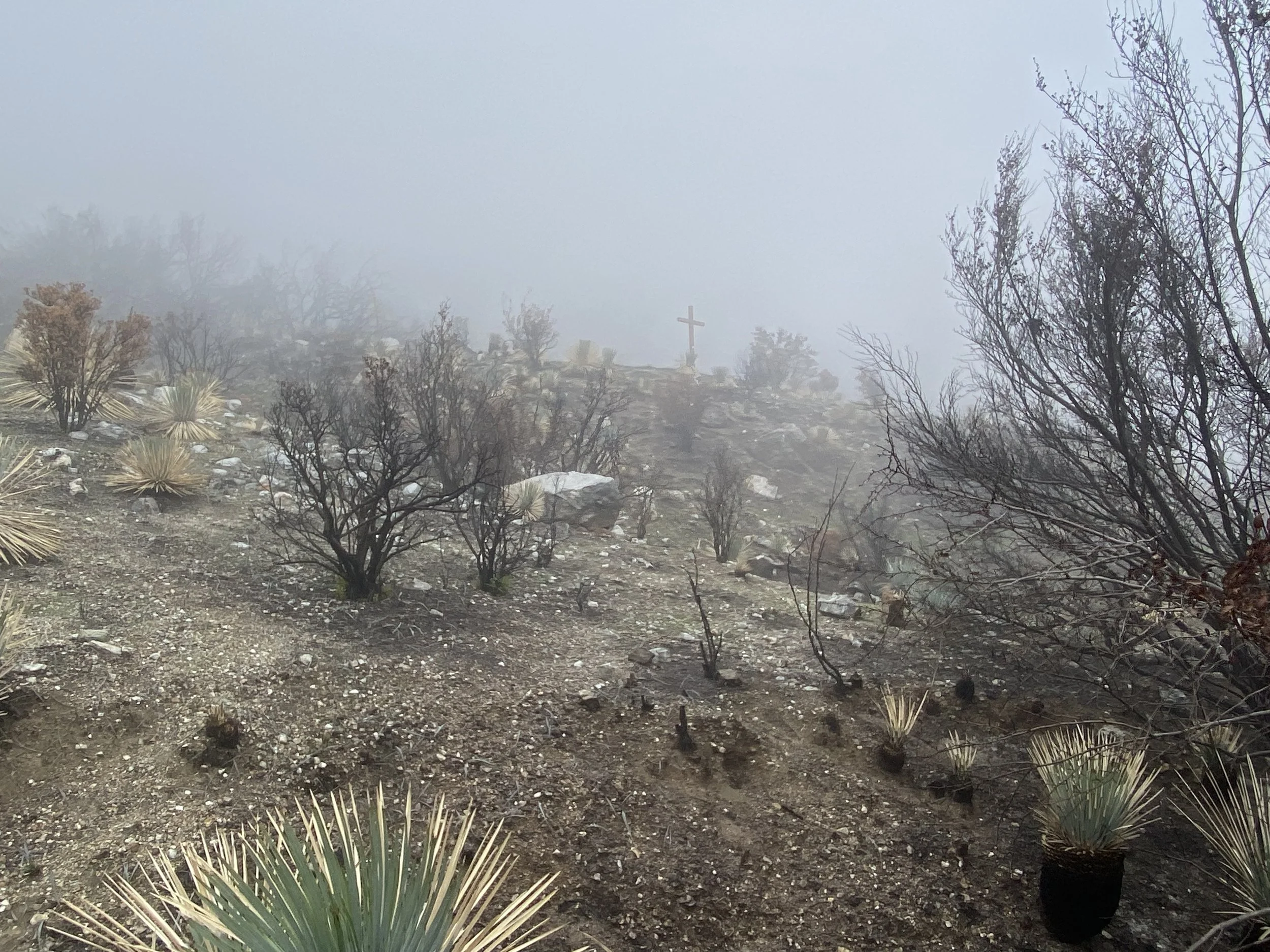 Copy of IMG_6226.jpeg