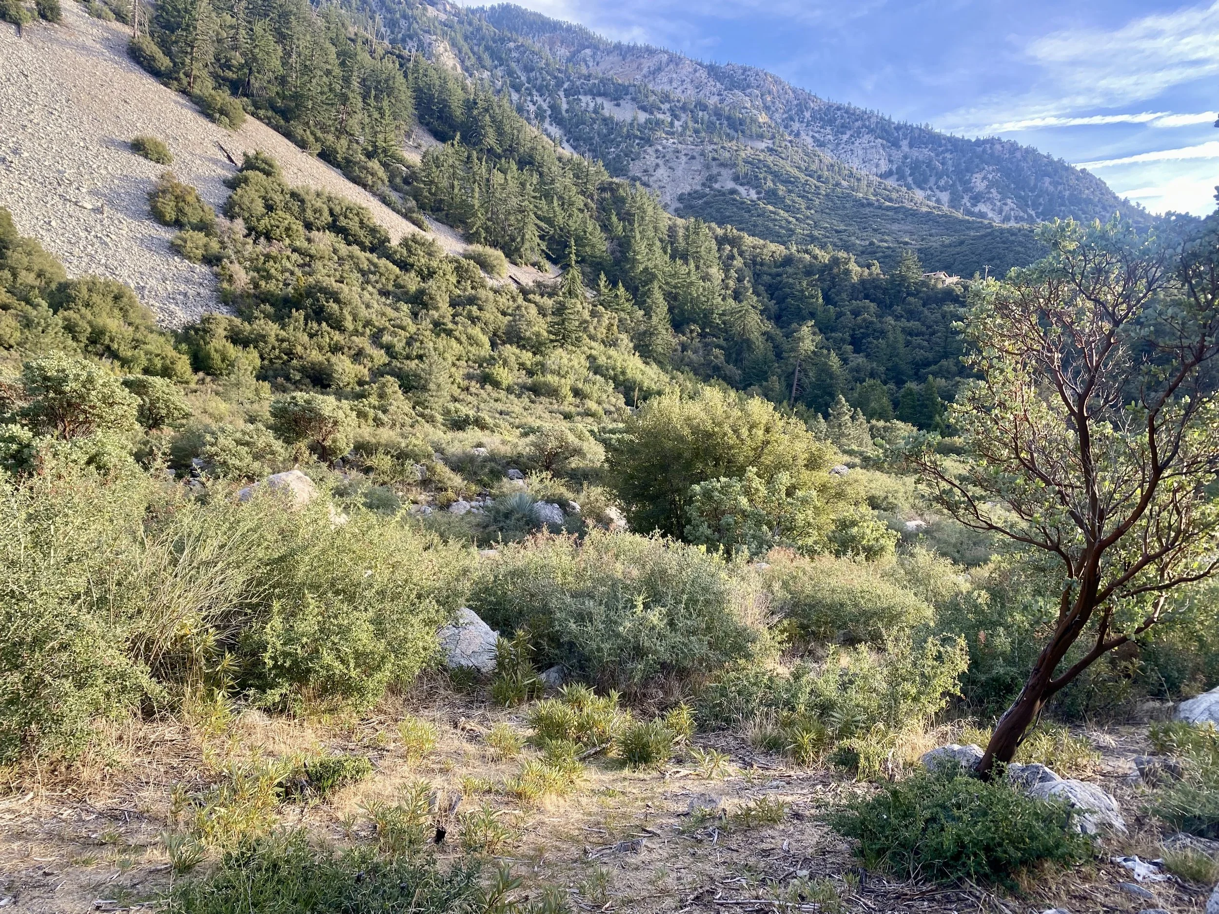 Copy of IMG_2940.jpg