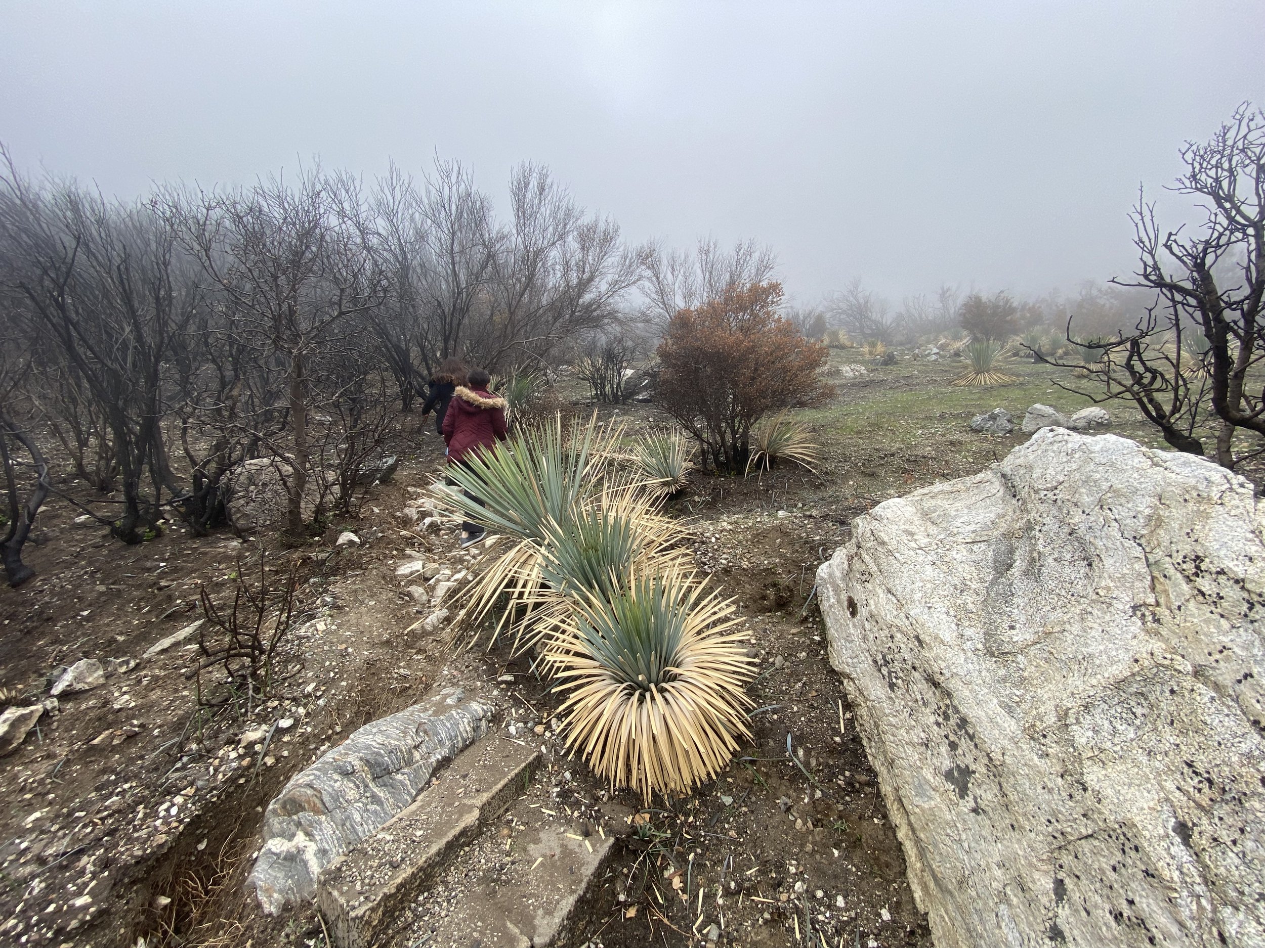 Copy of IMG_6227.jpeg