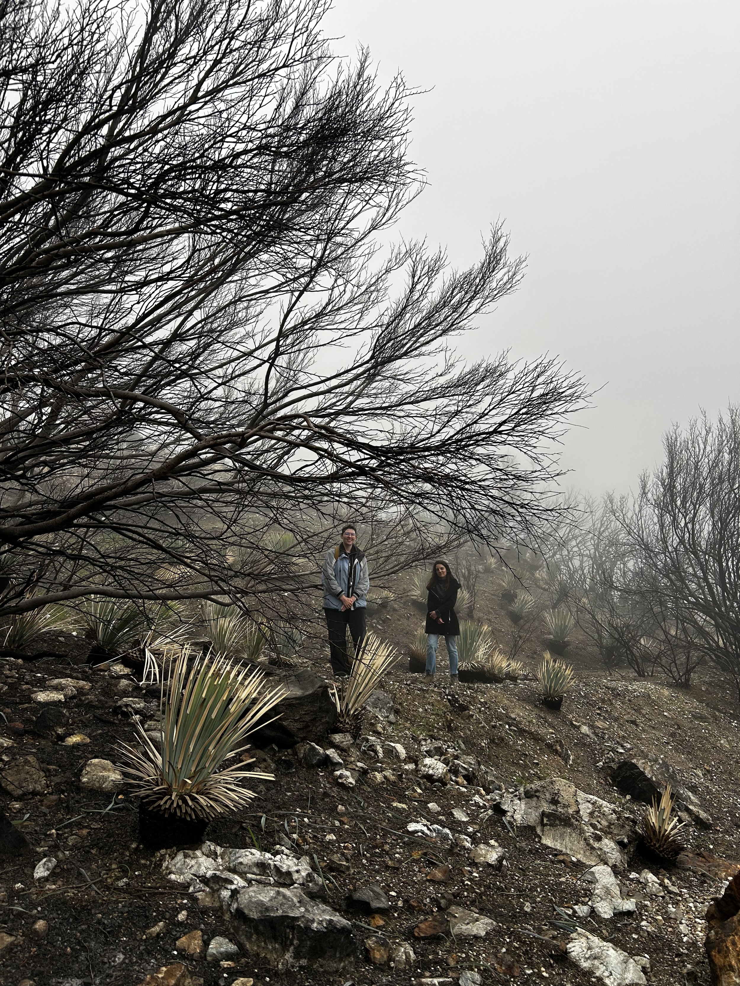 Copy of IMG_5645-preview.jpeg