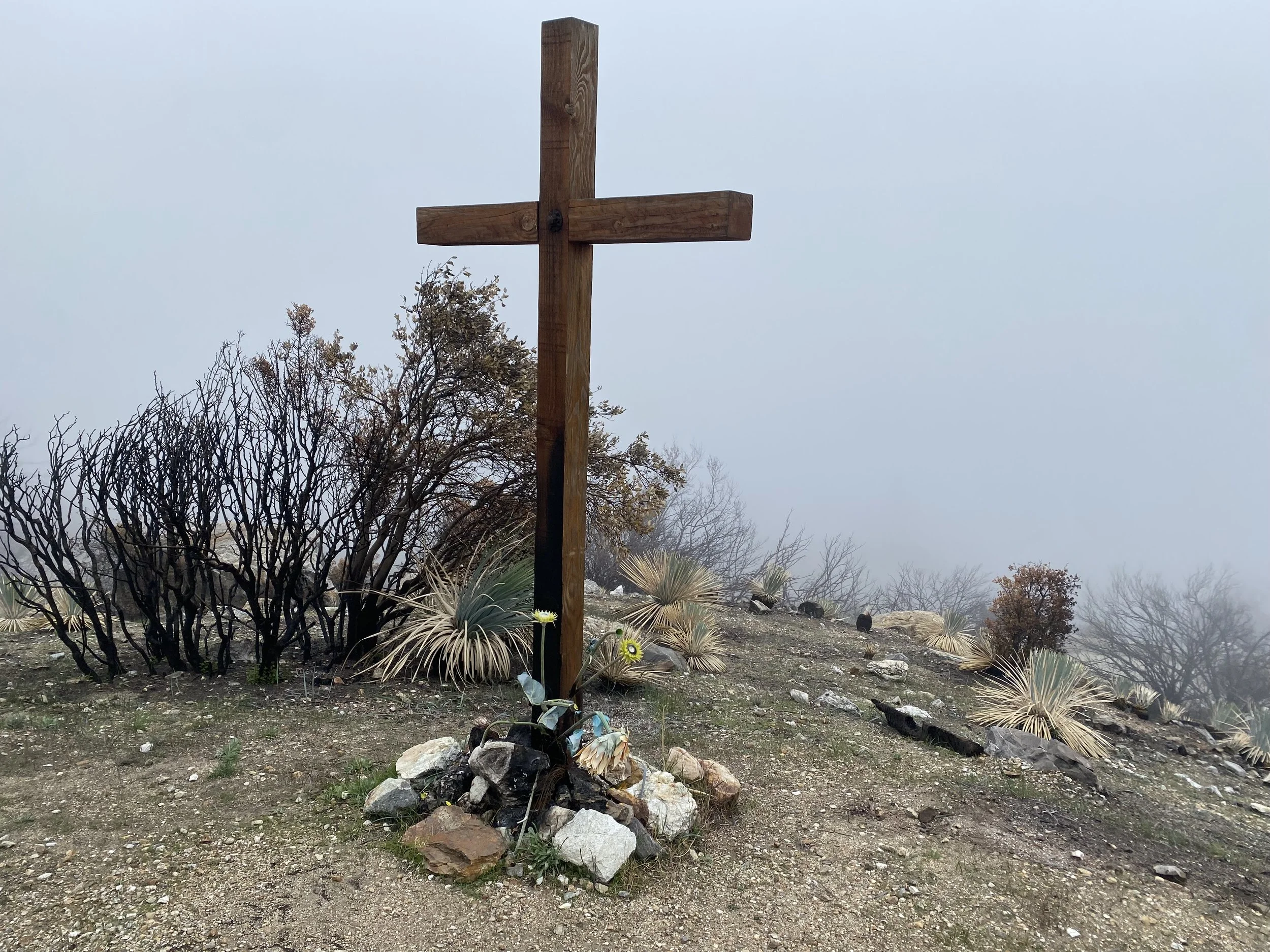 Copy of IMG_6245.jpeg