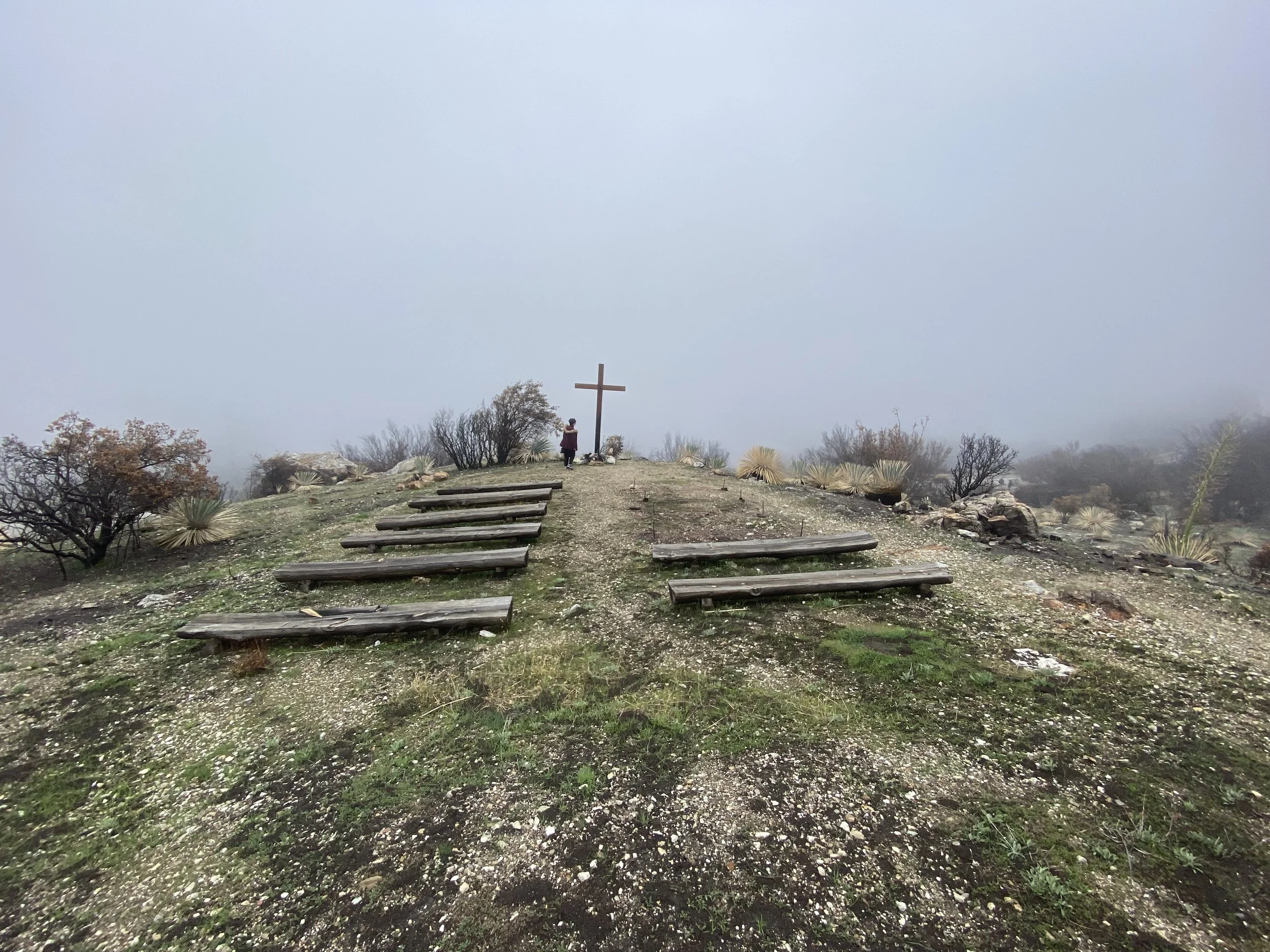 Copy of IMG_6235.jpeg