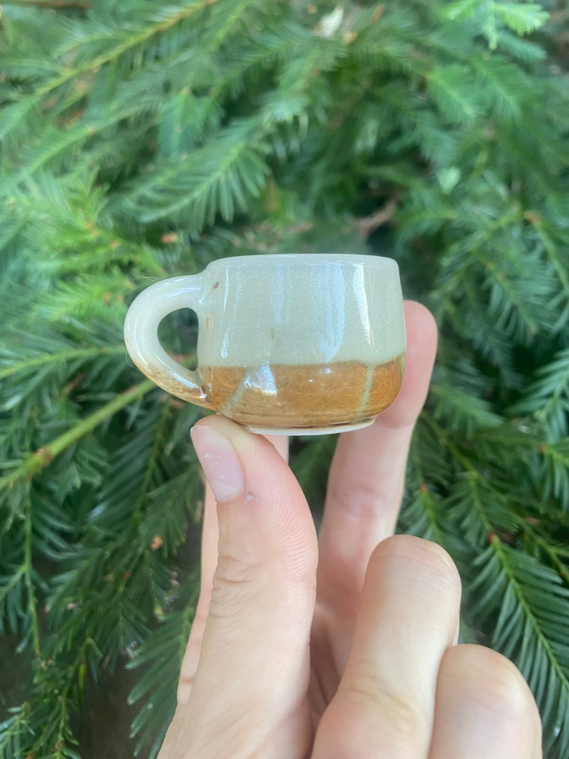 69E8A143-4A37-4307-B1F8-424041E5CEA3