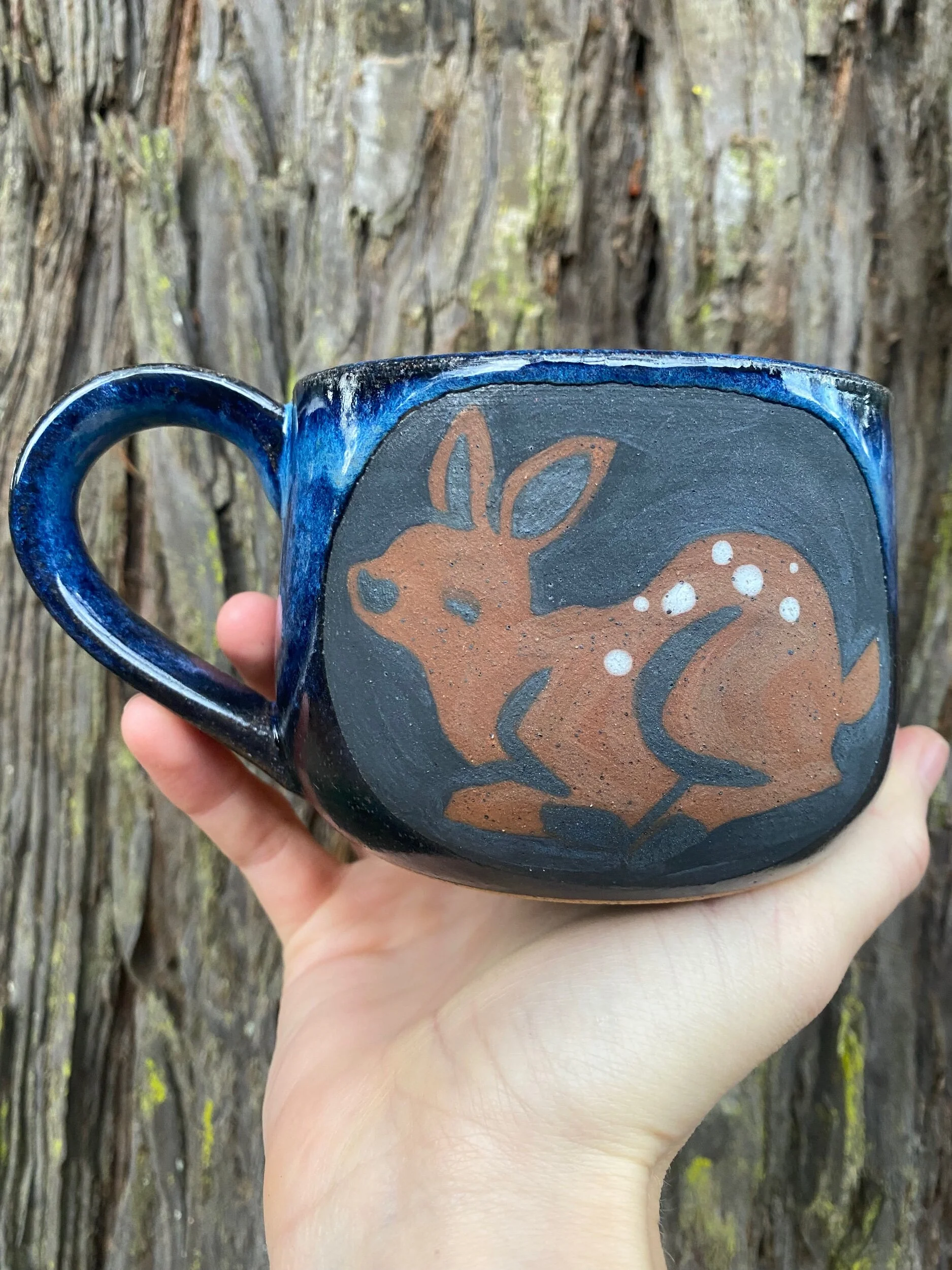 92E74AC9-1498-480F-AF40-88EA14E3622F