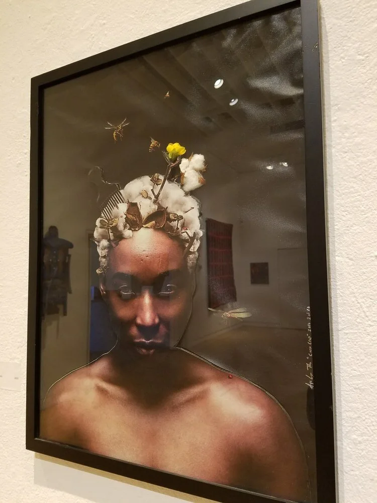 Cash Crop- Nye'Lyn Tho