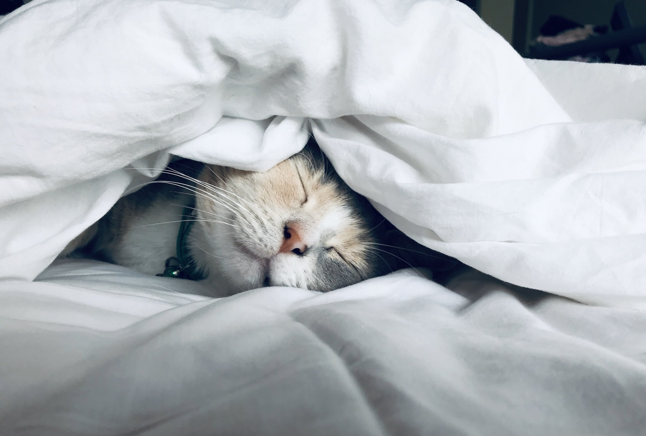 Open Up Your Sleep Routine