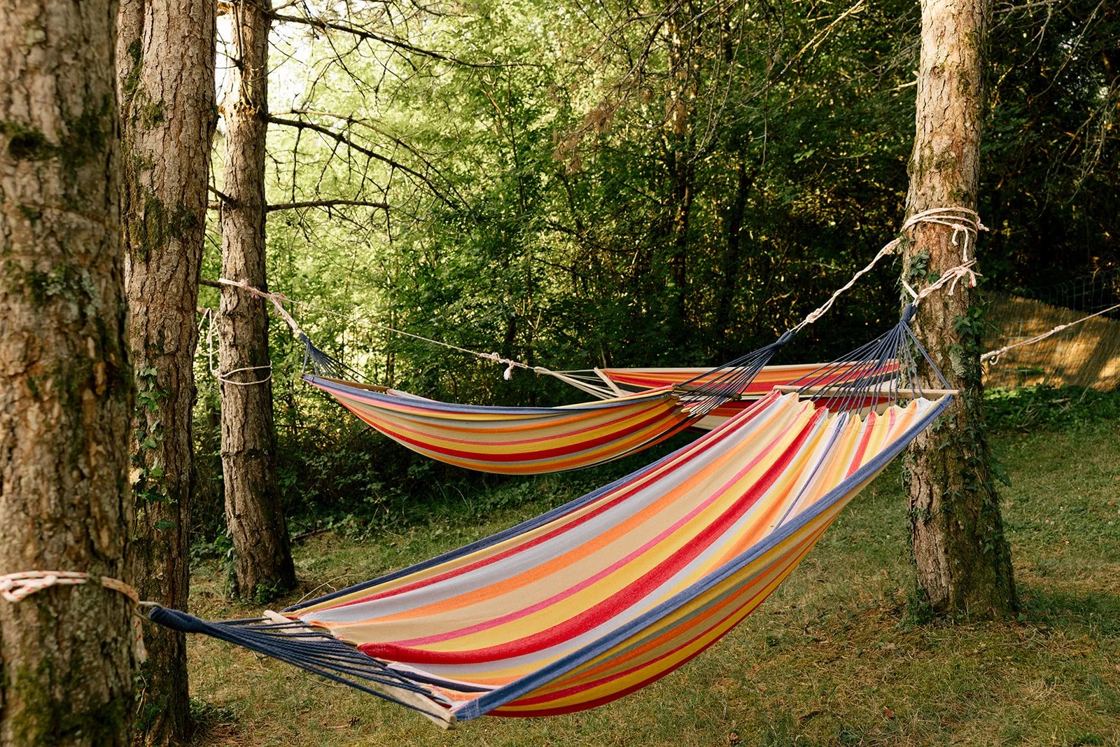 Two colorful striped hammocks tied between trees in a wooded outdoor area.