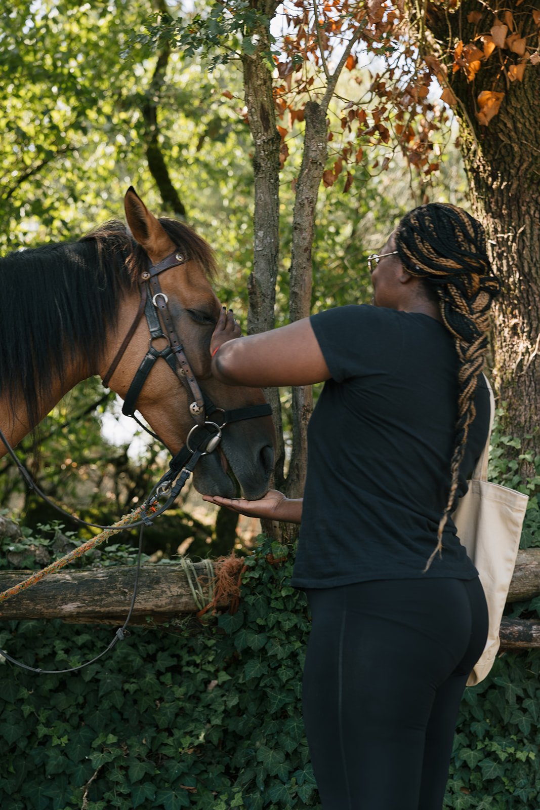 Horseback riding excursions