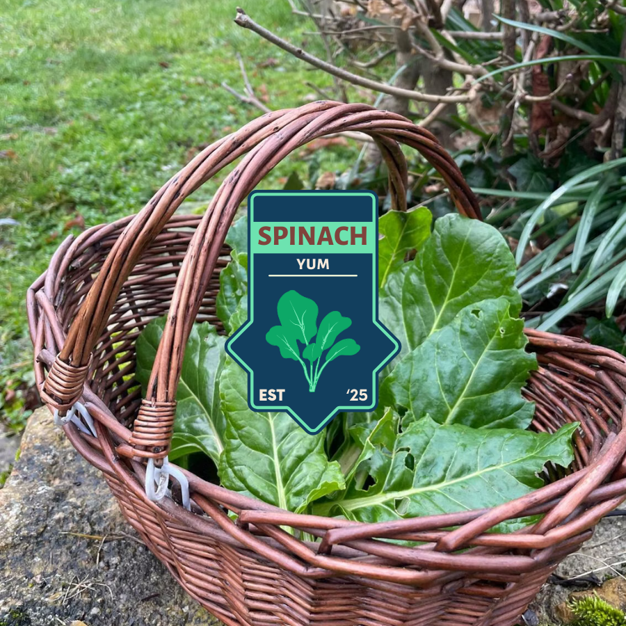 SPINACH.png