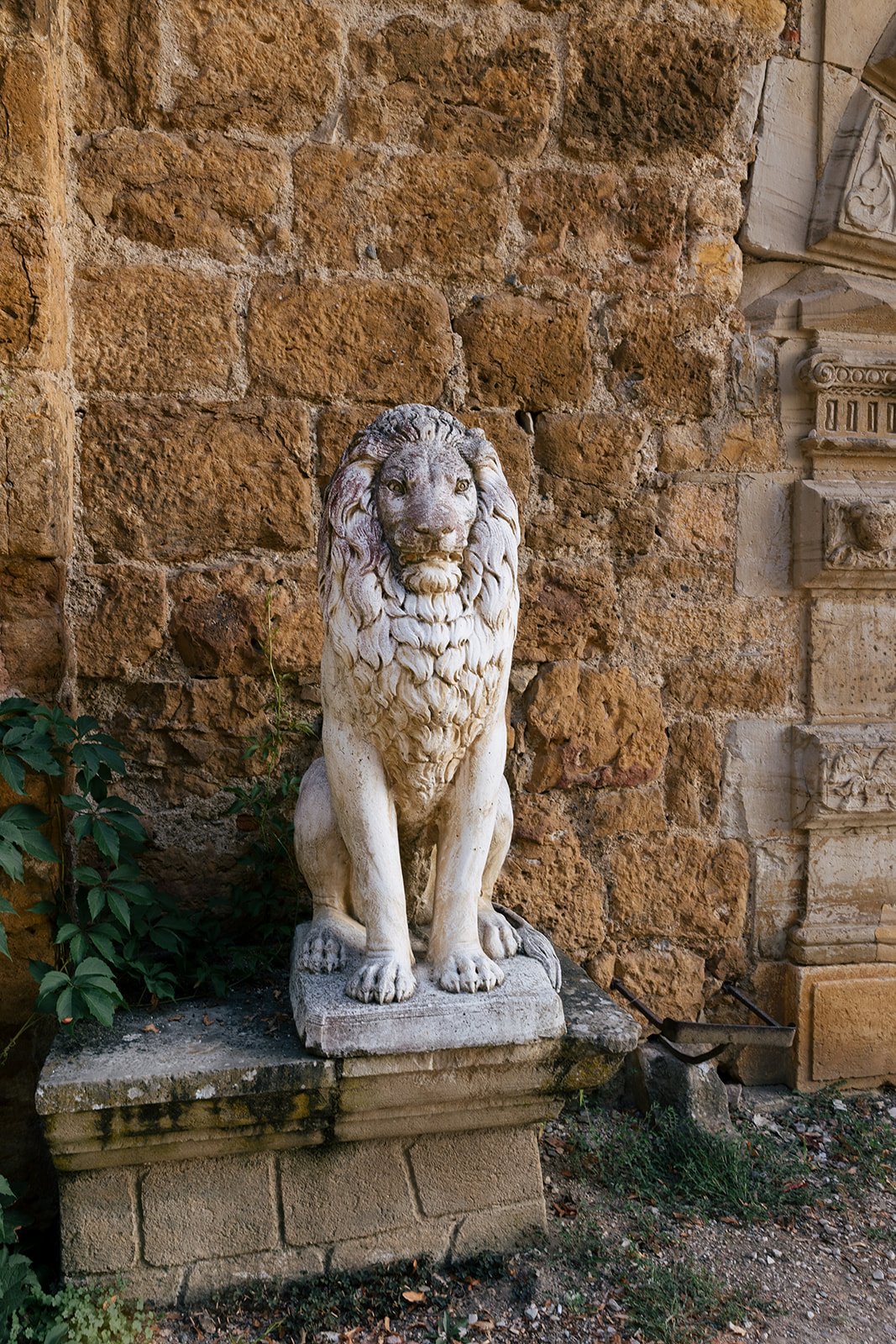Don't forget to pat the lion when you enter