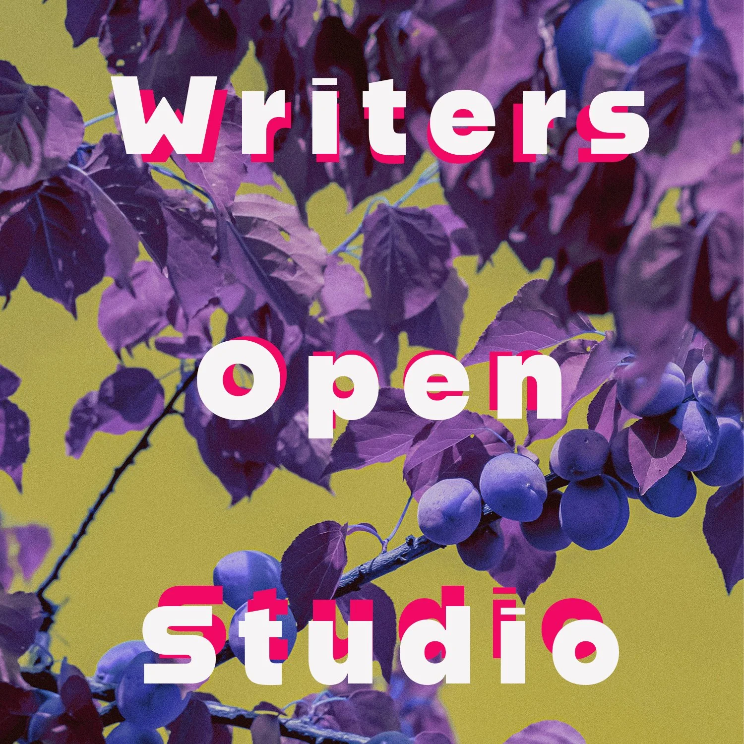 Writer’s Open Studio