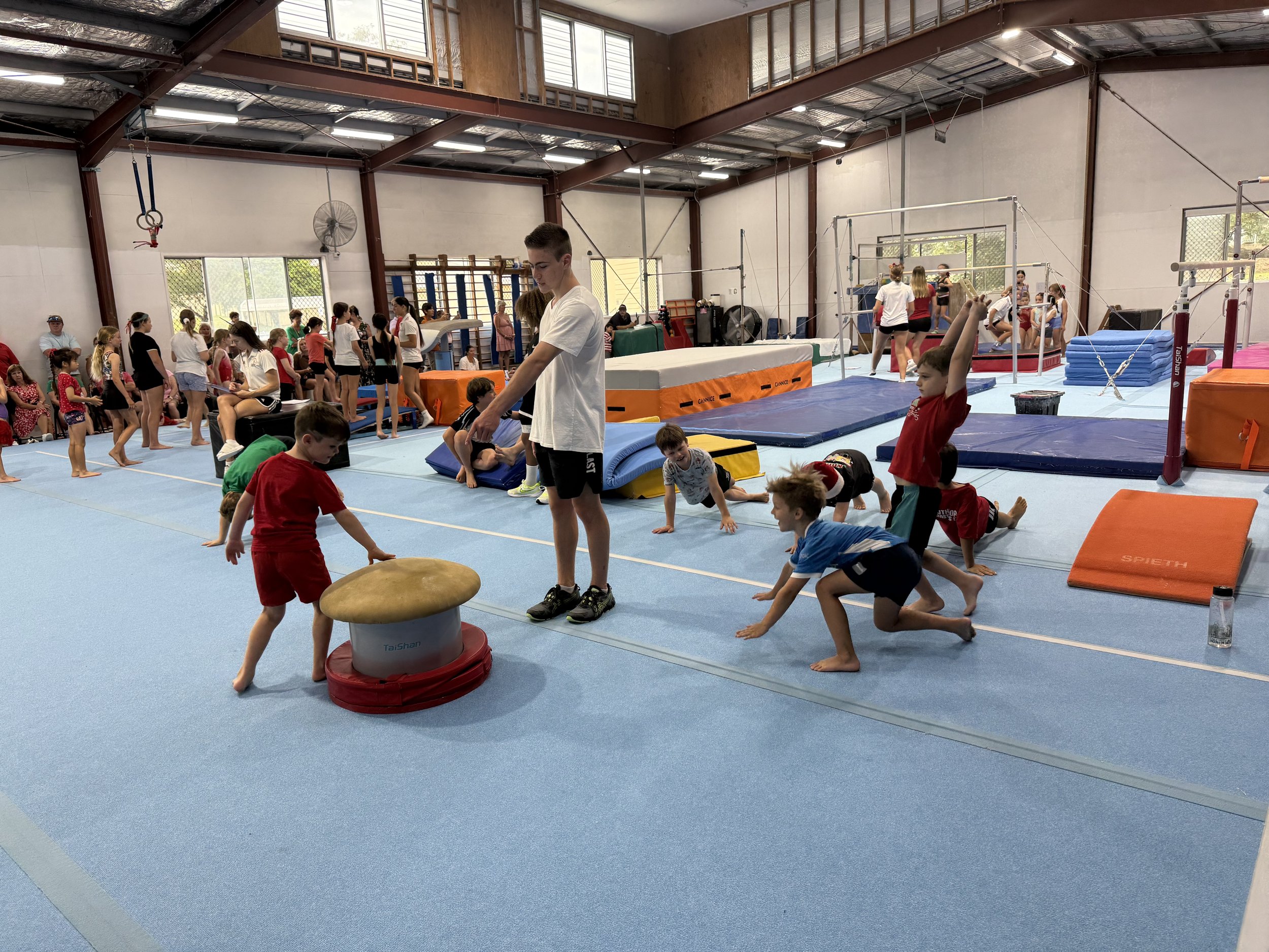 Photo 14-12-2025, 9 31 56 am.jpg