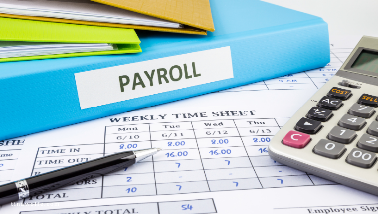 Payroll Services Explained for Small Teams: When Is It Time to Stop Doing It Yourself?