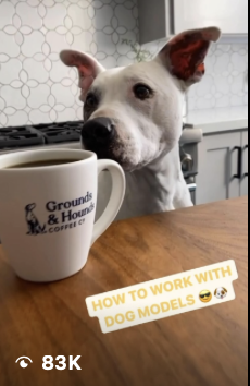 Grounds & Hounds Reel Example #2