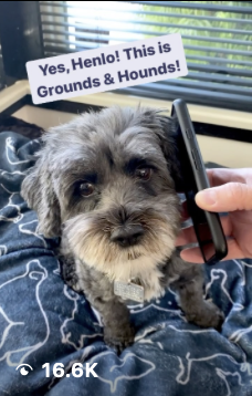 Grounds & Hounds Reel Example