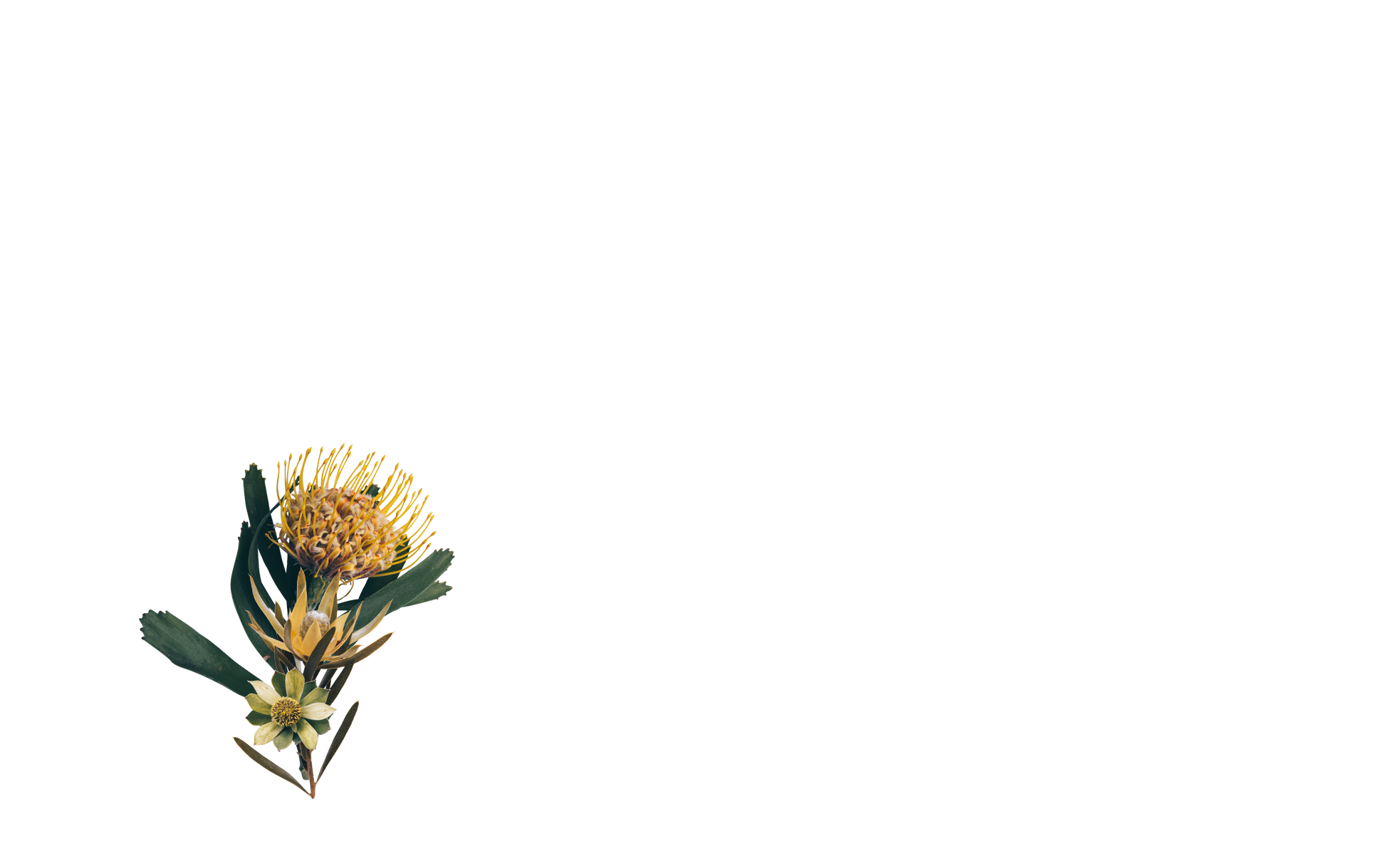 Services — Blooming Buckets