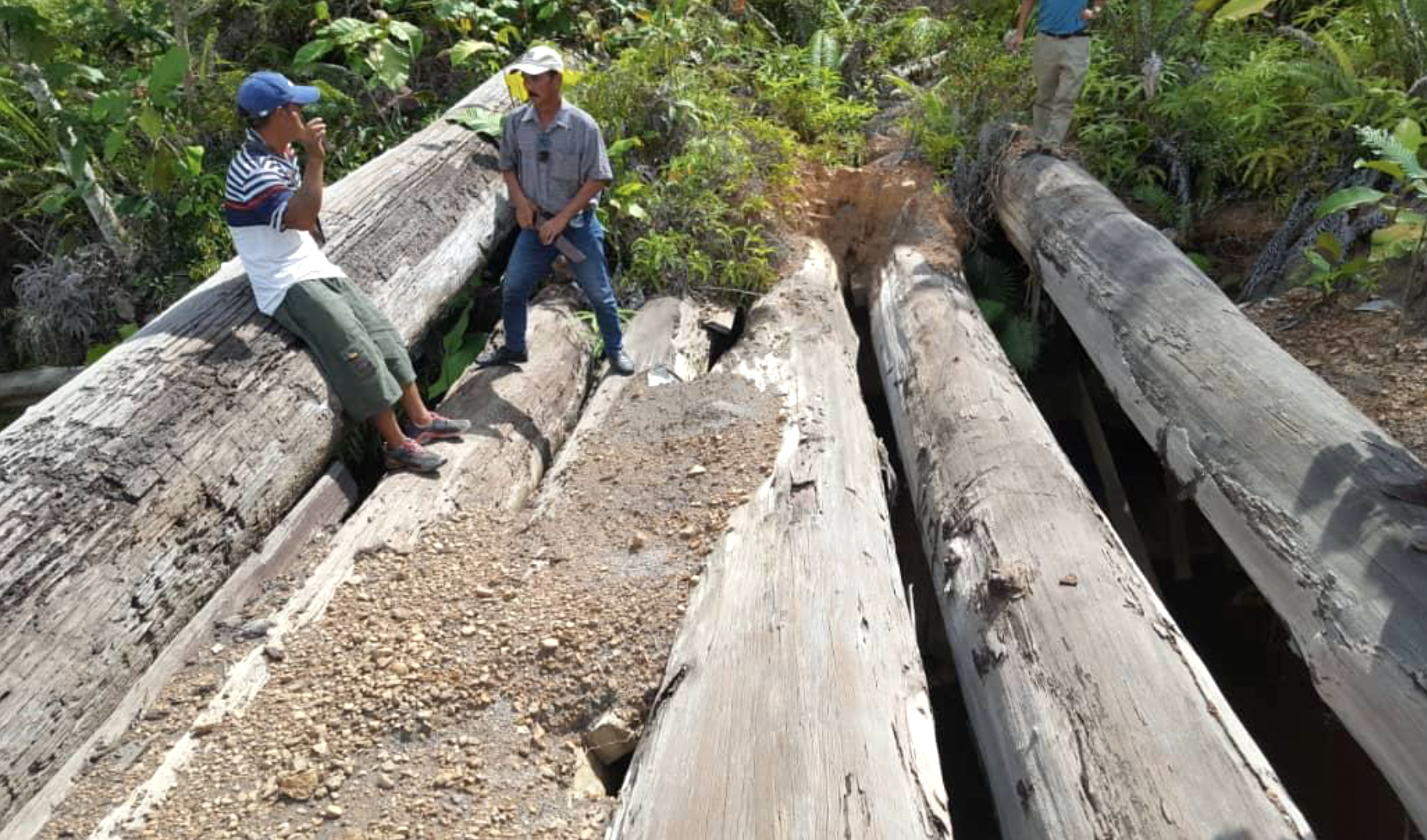 Slatted Post Consumer Ulin Source - Abandoned bridge timbers .png