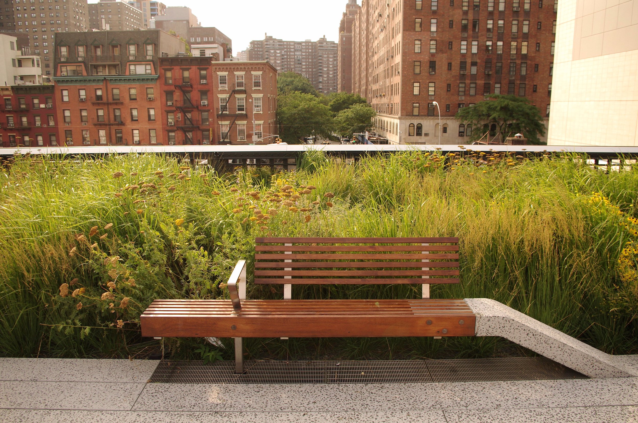 The High Line-crop1.jpeg