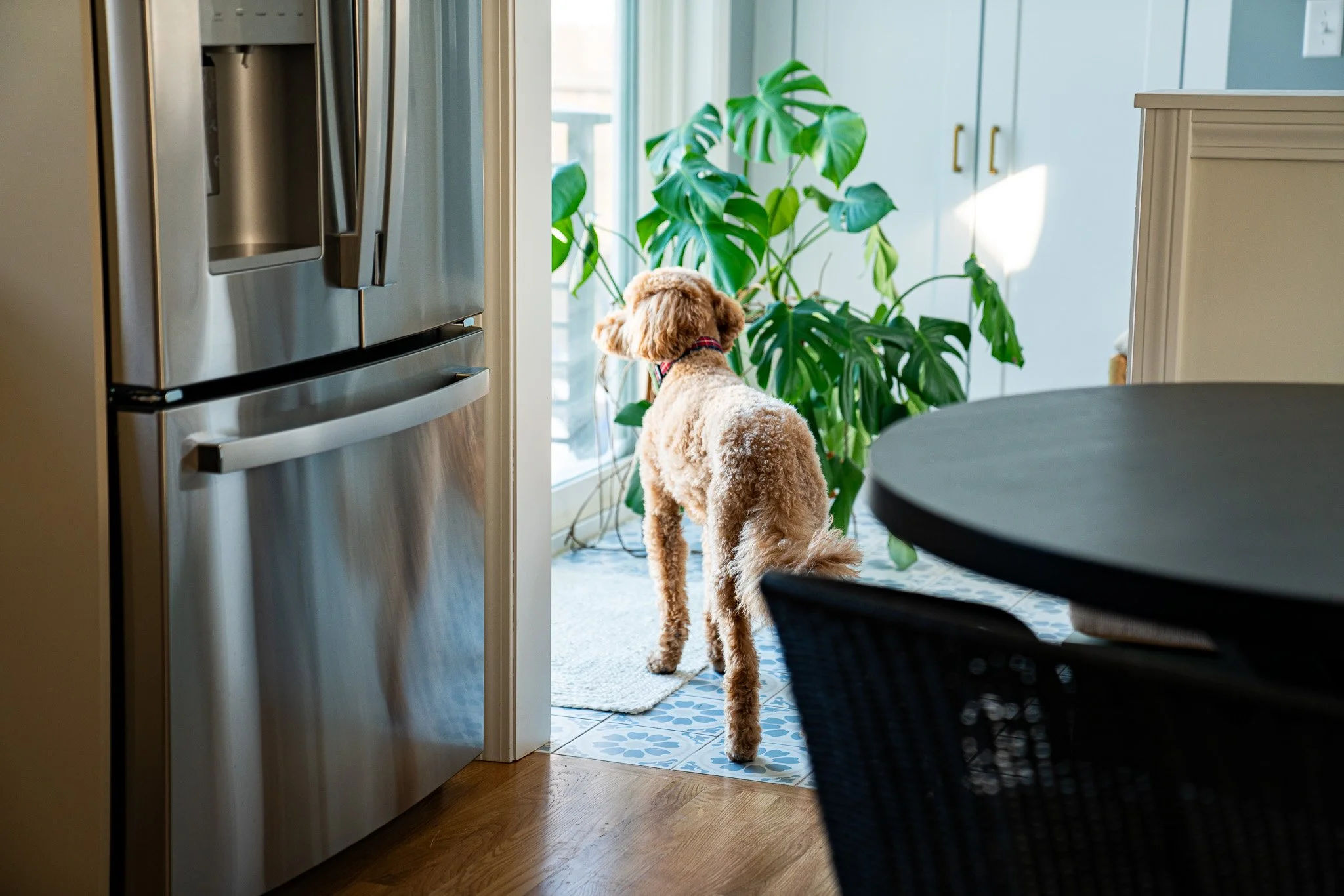 Designing a Mudroom &amp; Drop Zone That Actually Works for Maine Living