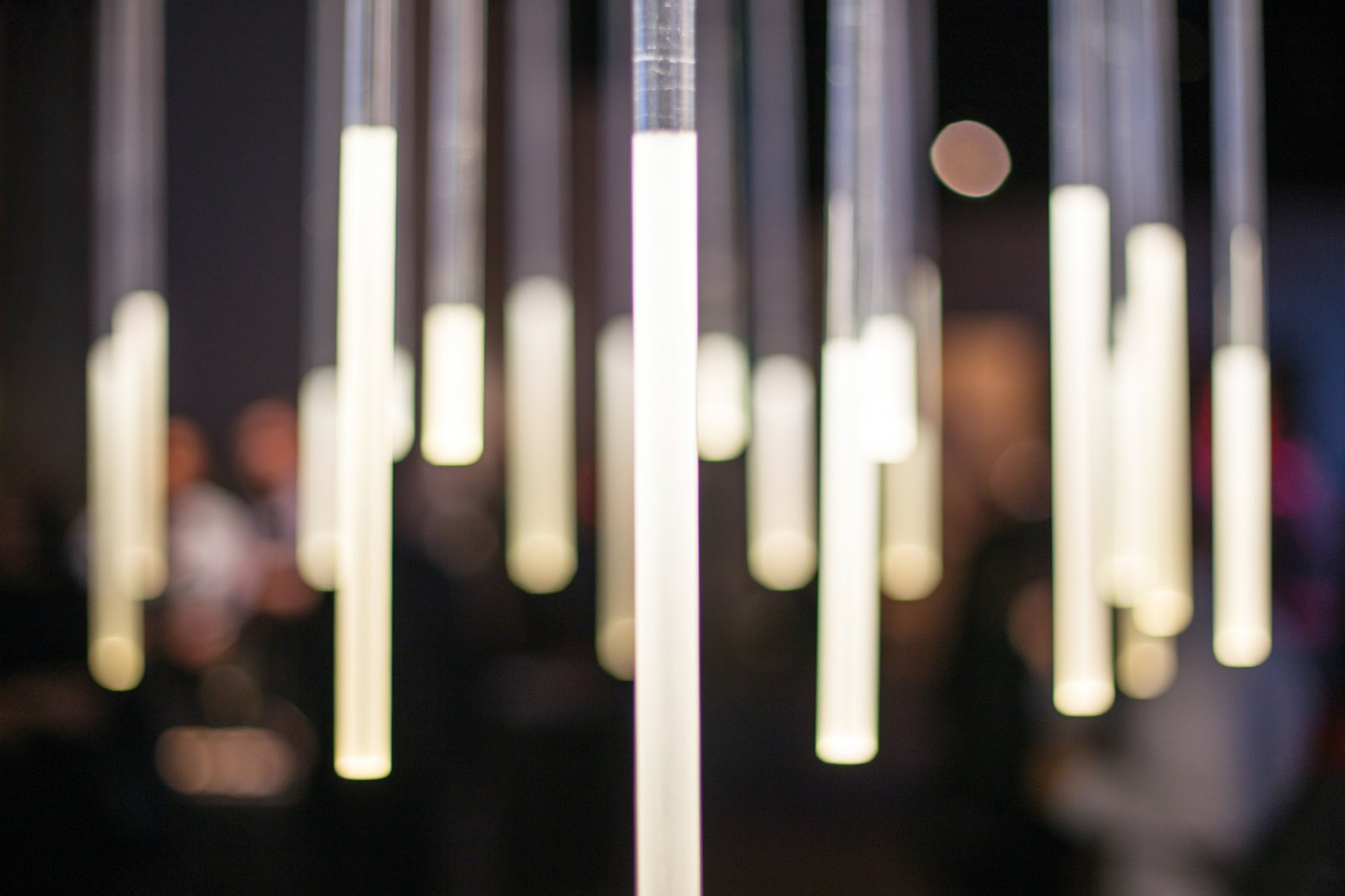 DiningbyDesign Lights.jpg
