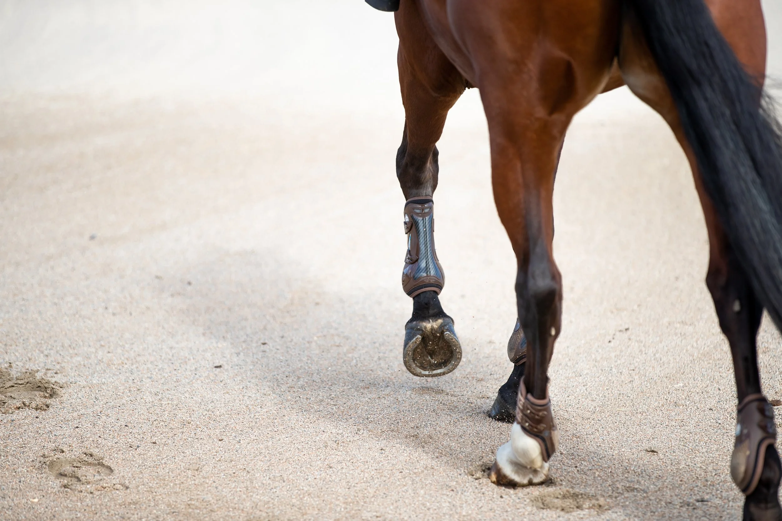 About — Rangeview Equestrian