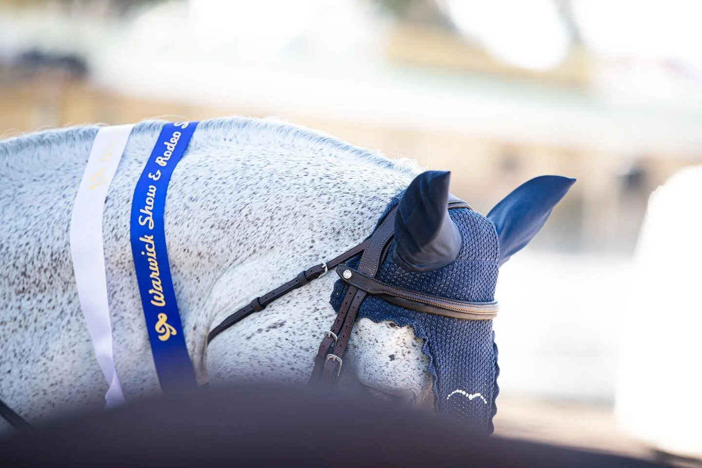 What a massive month March has been! This month we have sold a huge number of horses all across Australia and New Zealand. With the high demand for horses we are keen to hear what you have for sale!

Please send us your horses details accompanied by 