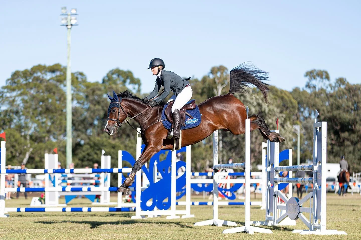 From one show to the next! Last weekend I spent 4 days with the @rangeviewequestrian team in Pittsworth for the Easter Show Jumping Championships 🐣 We had an awesome show and even managed to pick up 1st, 2nd, 3rd and 4th in the 120cm out of 41 rider