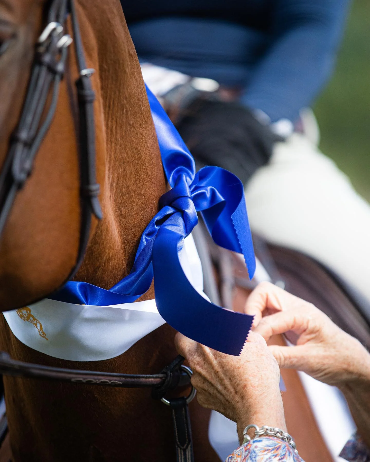 Unfortunately our local show in Boonah has cancelled all horse classes at this weekends show due to the wet weather 🌧 Let&rsquo;s hope this wet weather holds back as we have a big month of shows ahead 🤞🏻 #RangeviewRider

📸 @thejtaime