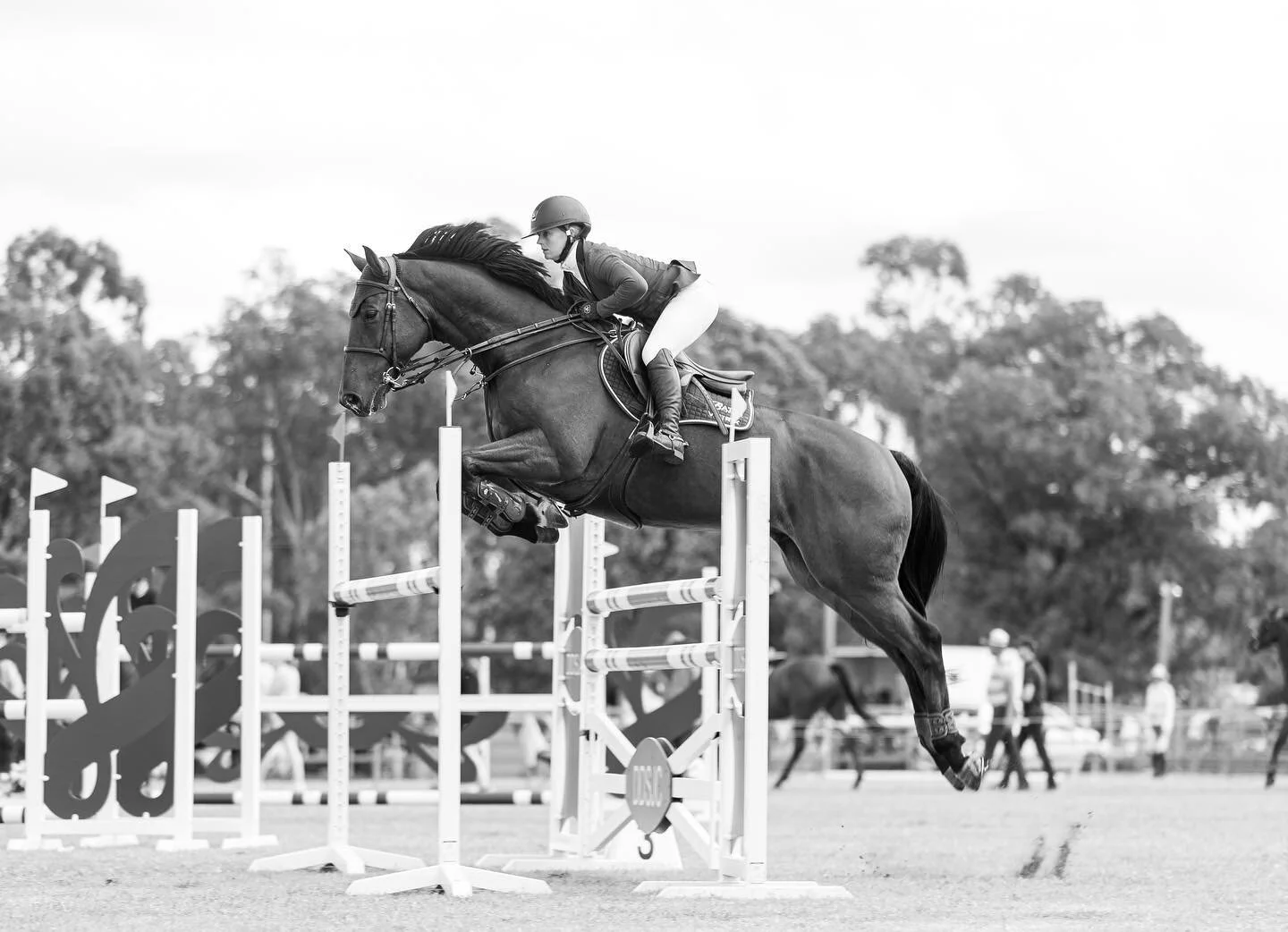 The calm before the storm (Literally!) ⛈ Starting next weekend we&rsquo;re off to Nambour with 12 horses followed by 2 World Cup shows the following 2 weekends 🏆 With 3 large shows for the @rangeviewequestrian Show Jumping team + the never ending we