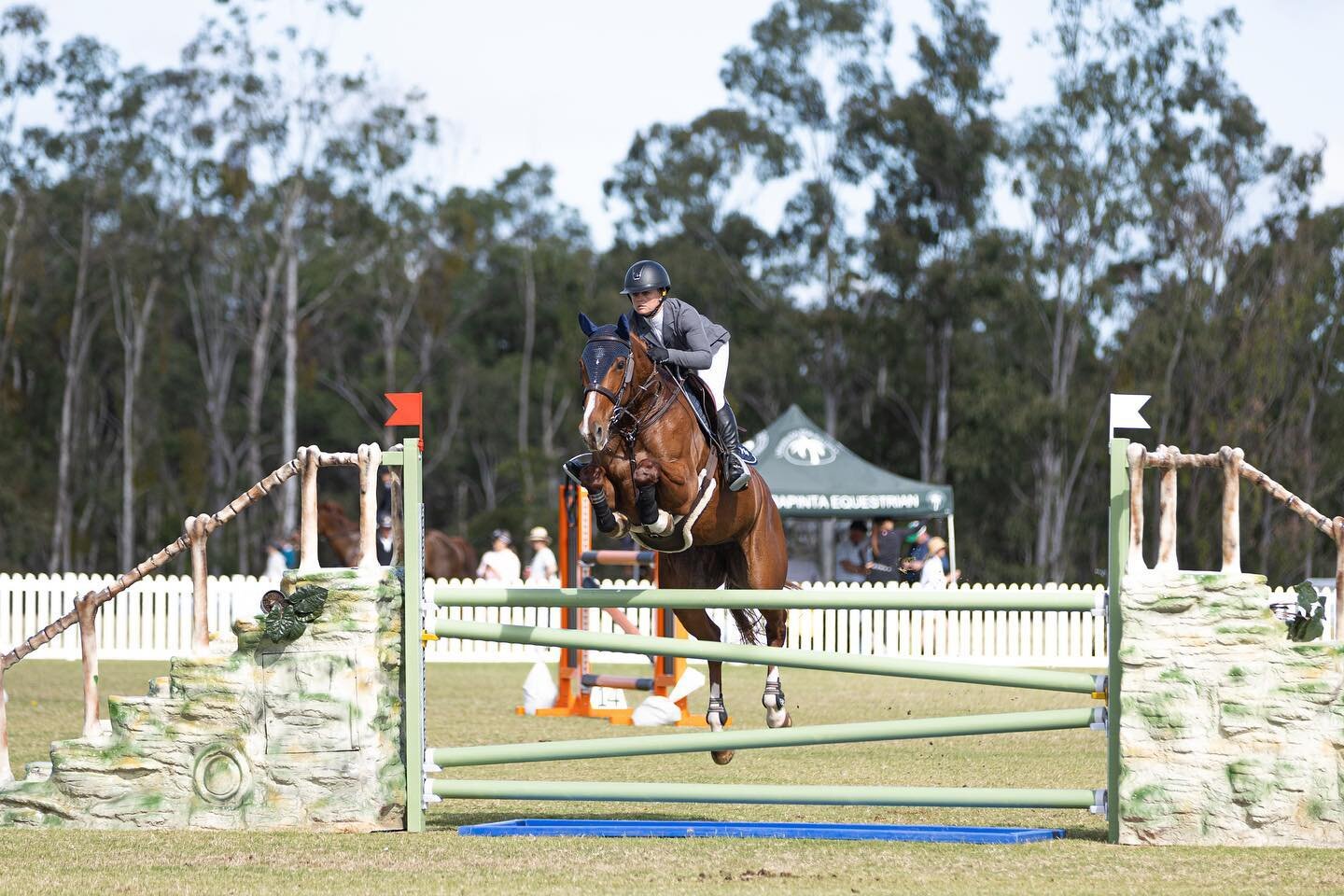 TRAINING OR SALES PREP SPACES AVAILABLE :

Rarely do we have spaces available&hellip;. 

Unleash your horse's potential with our premium training spaces now available for show jumping, eventing and flat work.&nbsp;&nbsp;Young horses needing more educ