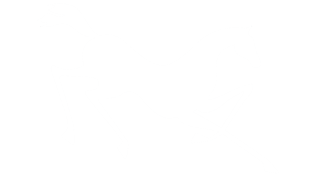 Rangeview Equestrian