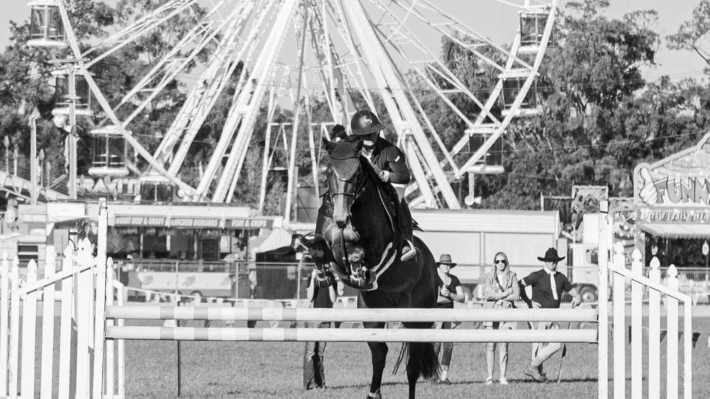 Services — Rangeview Equestrian