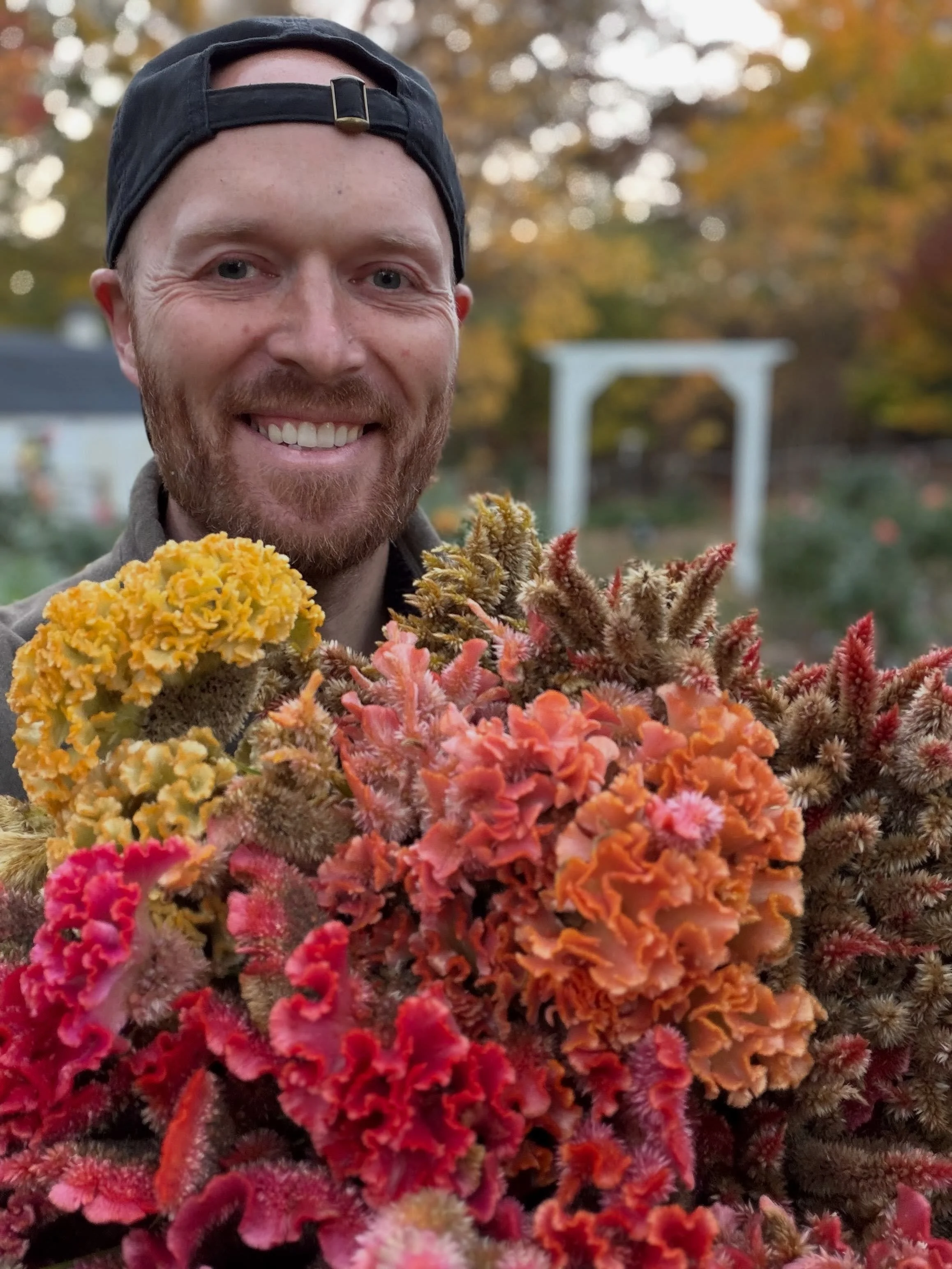 Harvesting Celosia for drying and for our 2026 RE Celosia Blends. Growing Celosia has been an unexpected joy and addition to our farm over the past few years. More to come!