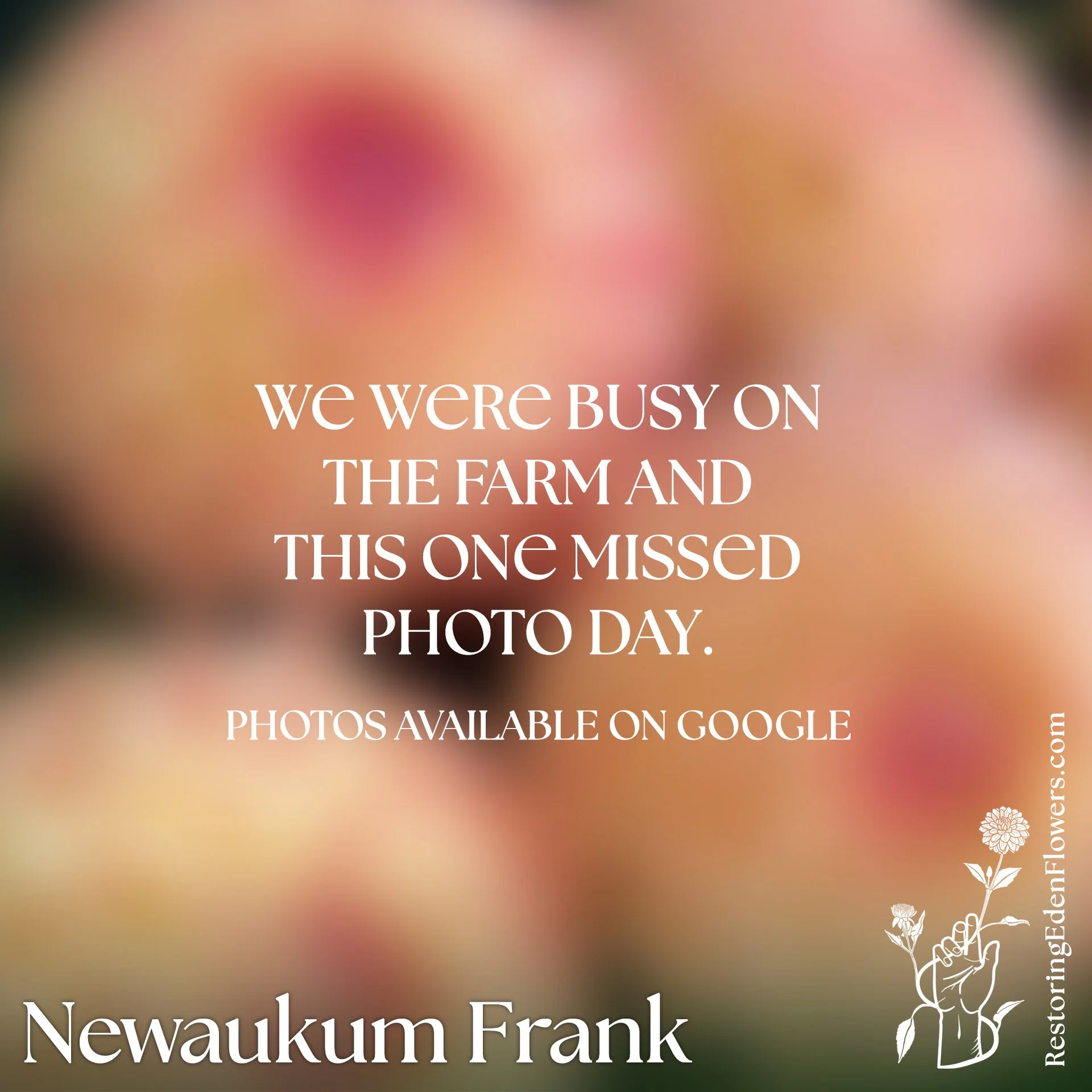 Newaukum Frank