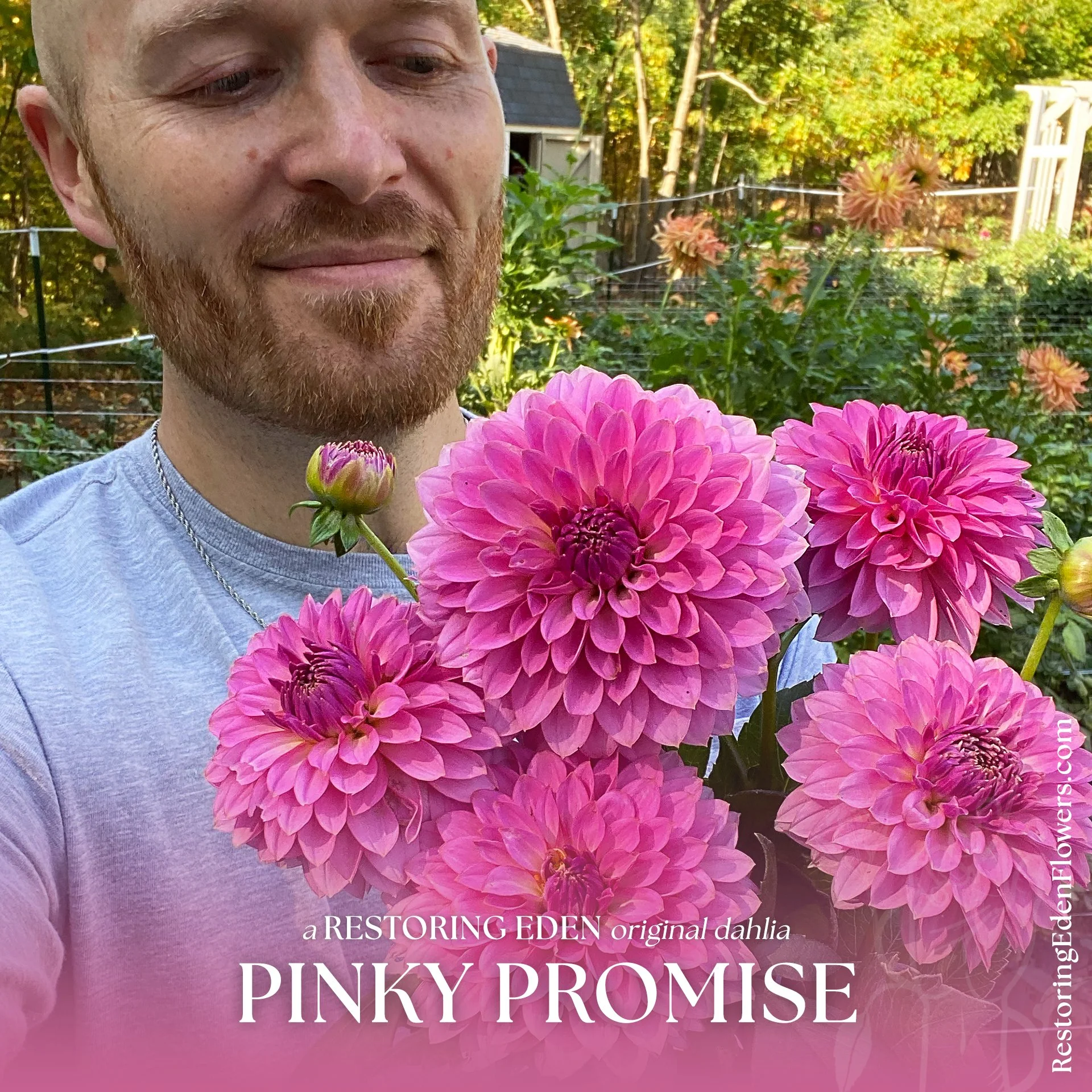 Pinky Promise by Restoring Eden (Limit 1)