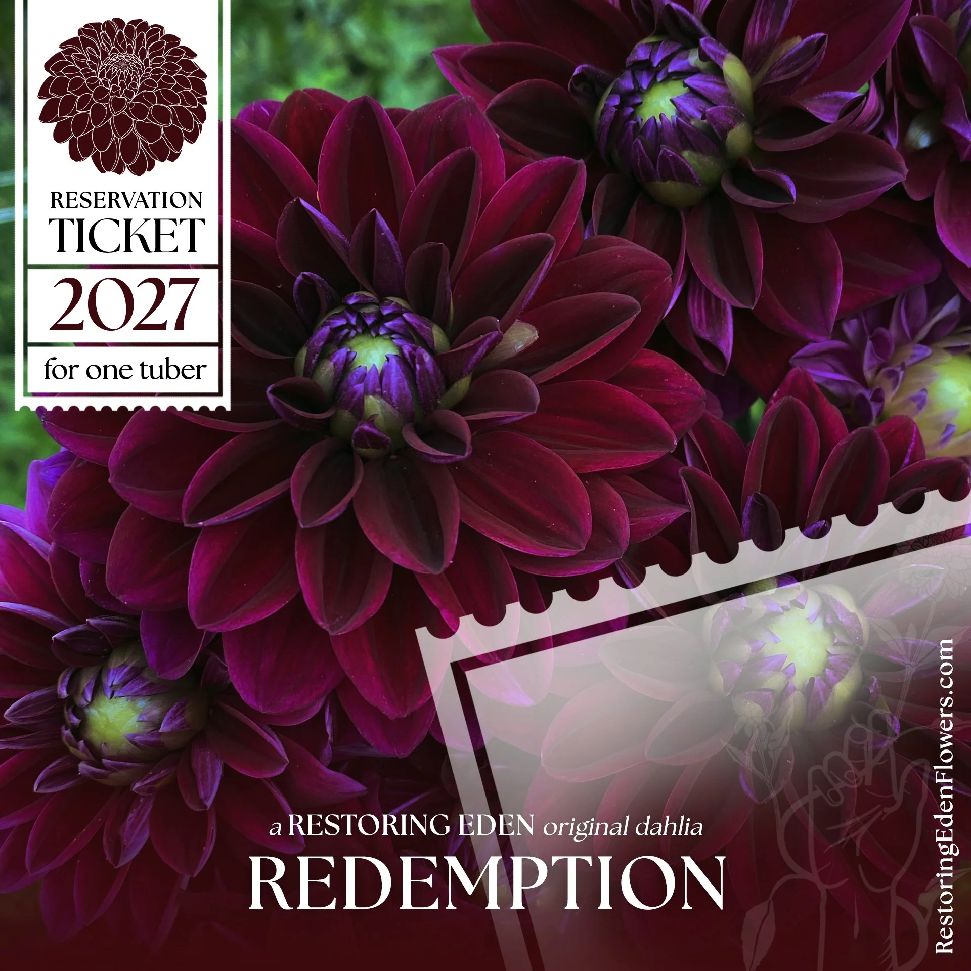 Redemption (2027 Reservation Ticket)
