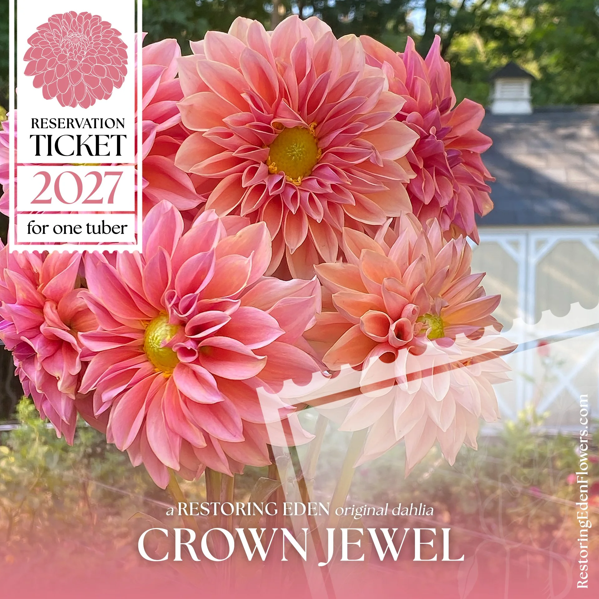 Crown Jewel (2027 Reservation Ticket)
