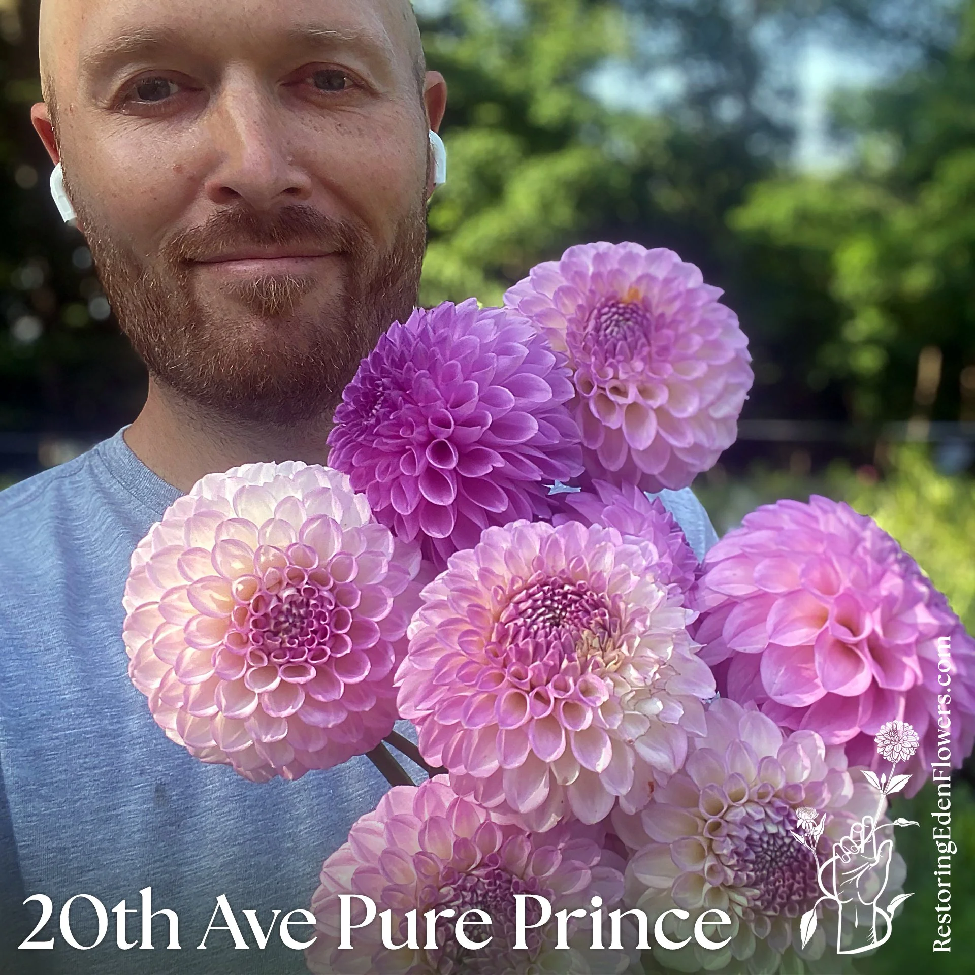 20th Ave Pure Prince