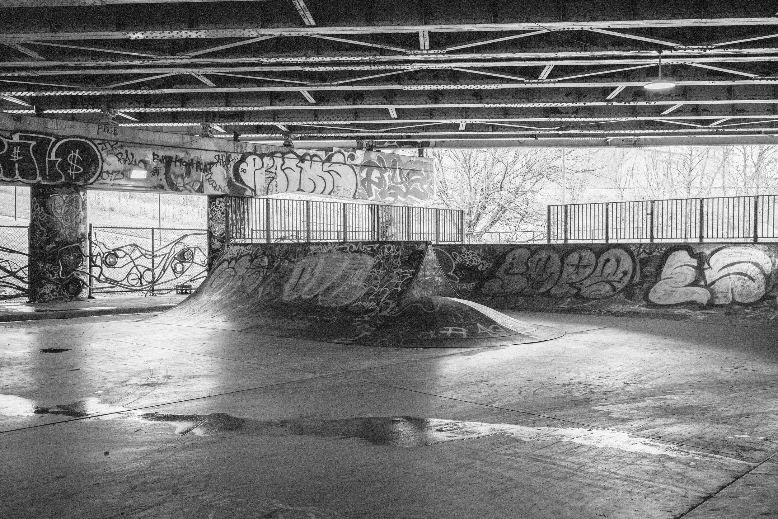 LSS_LoganSkatepark_01.jpg